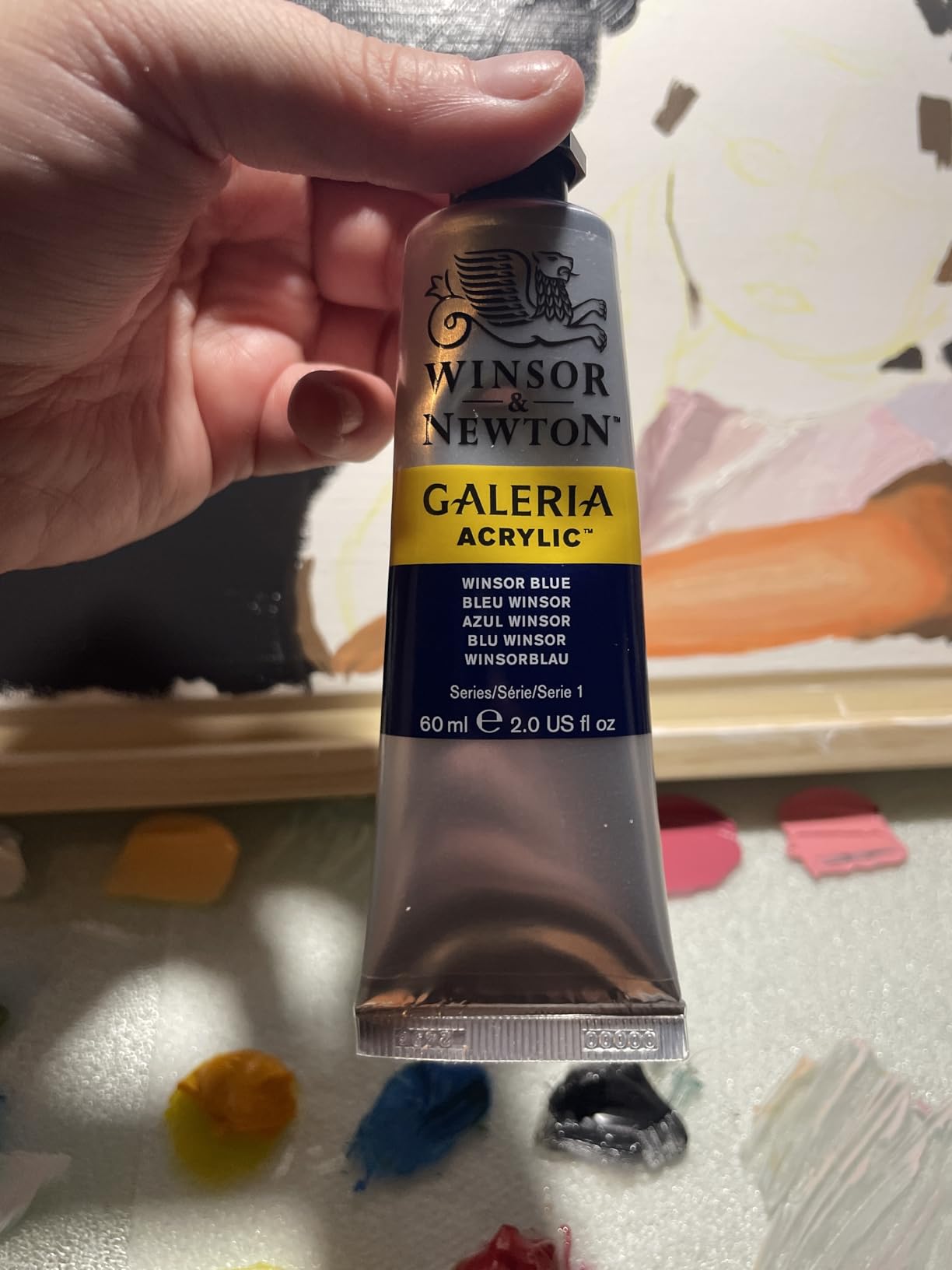 Winsor & Newton Galeria Acrylic Paint, 10 x 60ml (2--oz) Tube Paint Set customer photo 1