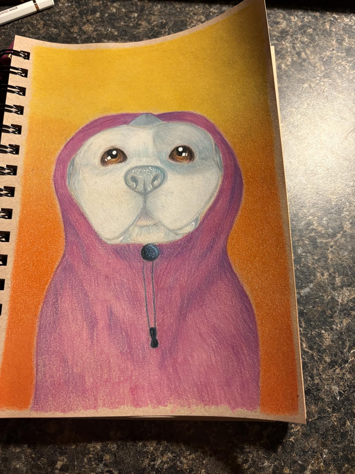 Caran D'ache Pablo Colored Pencil Set of 30 (666.330) customer photo 1