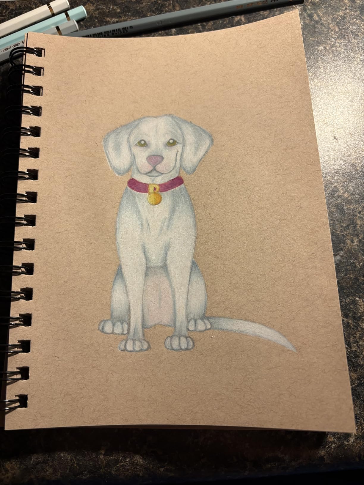Caran D'ache Pablo Colored Pencil Set of 30 (666.330) customer photo 2