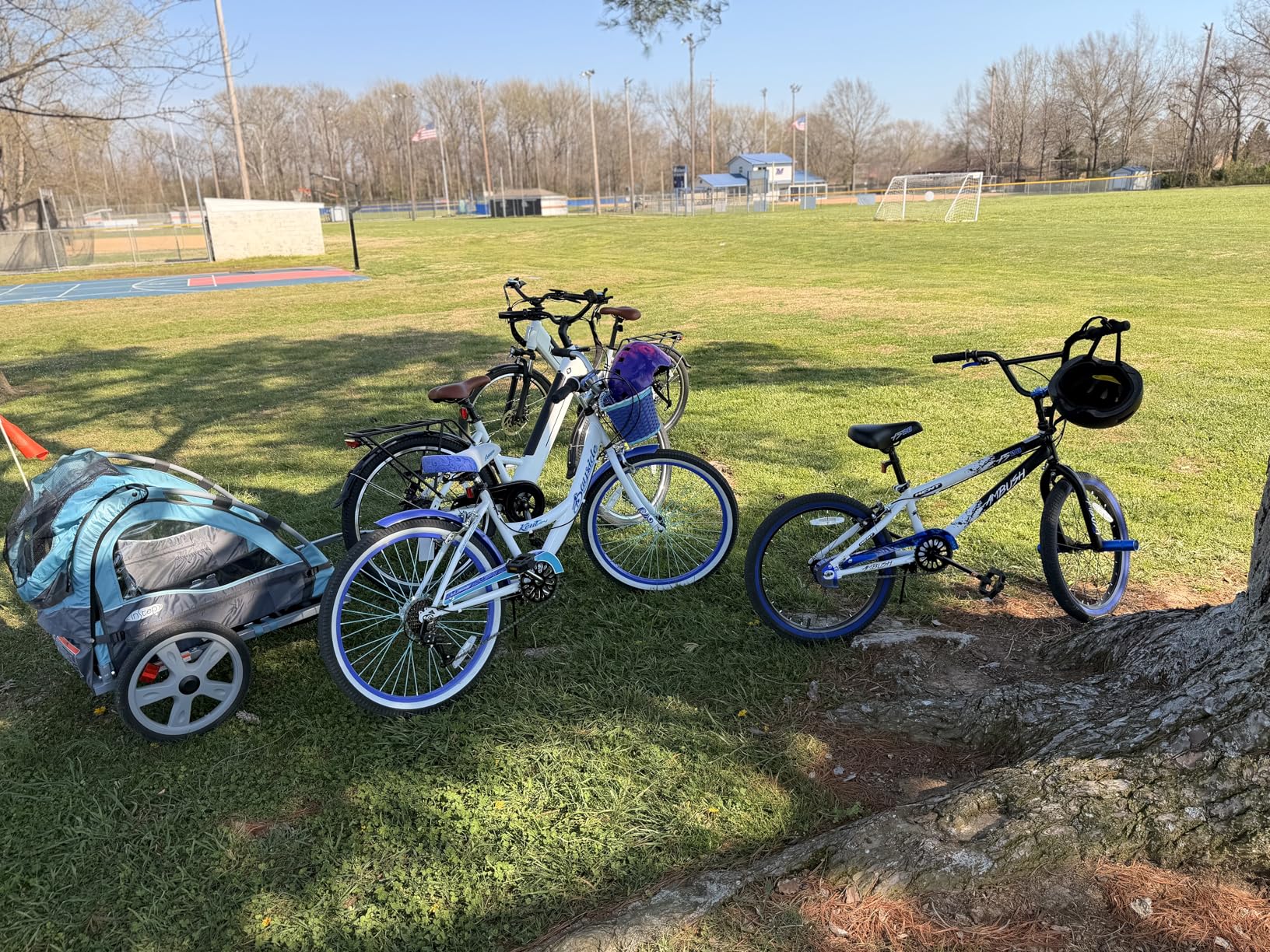 InStep Take 2 Kids Bike Trailer, Double Seat, Universal Coupler, Folding Frame customer photo 1