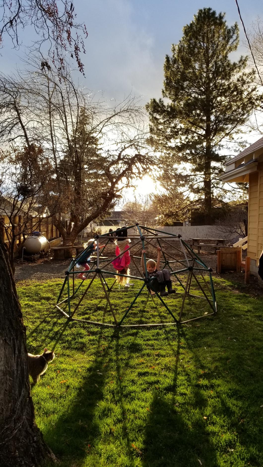 Lifetime Geometric Dome Climber Play Center - Climbing Dome Jungle Gym customer photo 1