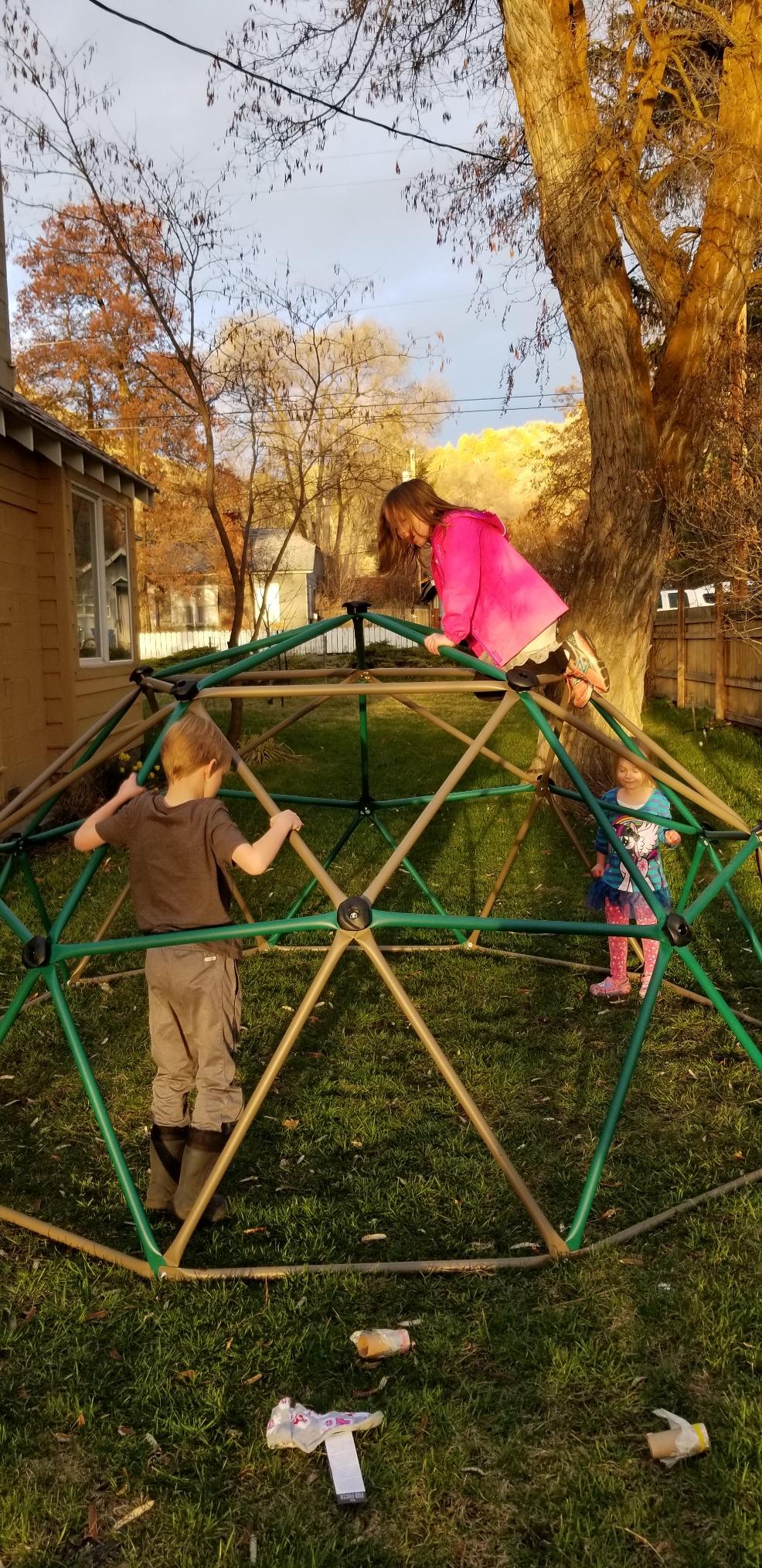 Lifetime Geometric Dome Climber Play Center - Climbing Dome Jungle Gym customer photo 2