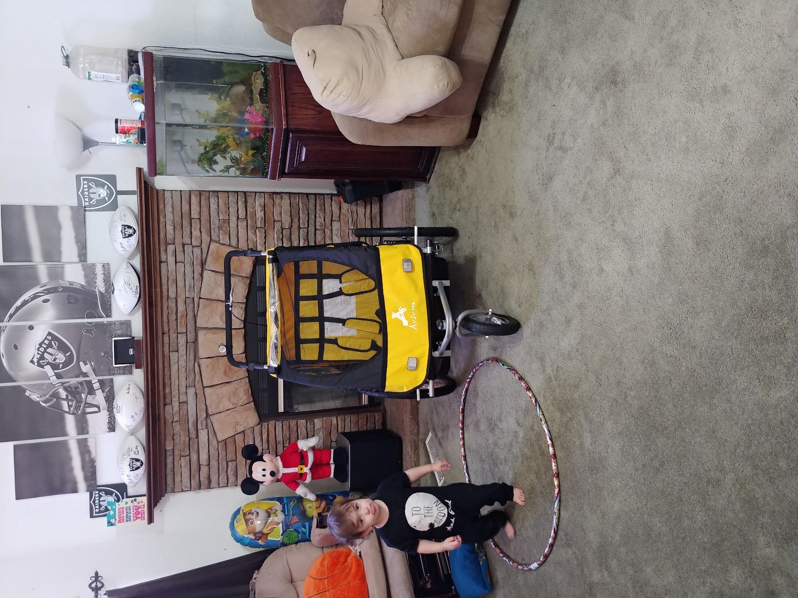 Aosom Elite 360 Swivel Bike Trailer for Kids Double Child Two-Wheel Bicycle Cargo Trailer customer photo 2