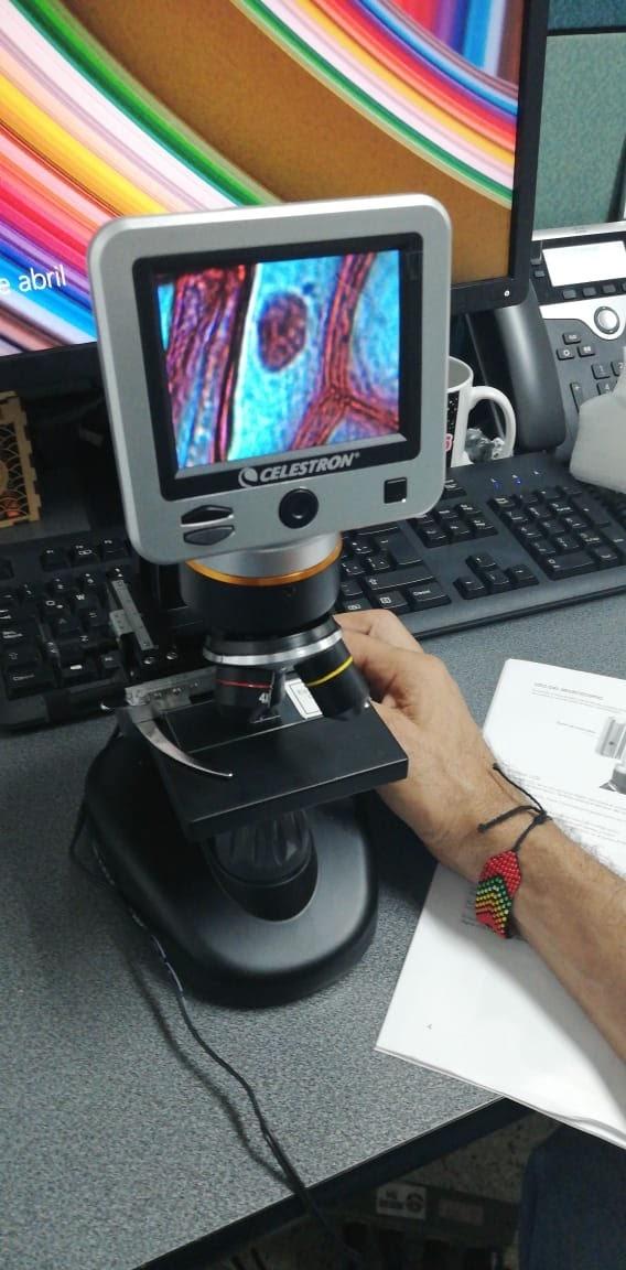 Celestron - LCD Digital Microscope II - 3.5