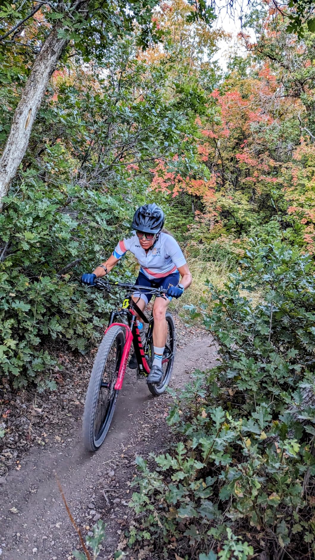 Terry Butterfly Cromoly Gel Bike Saddle customer photo 1