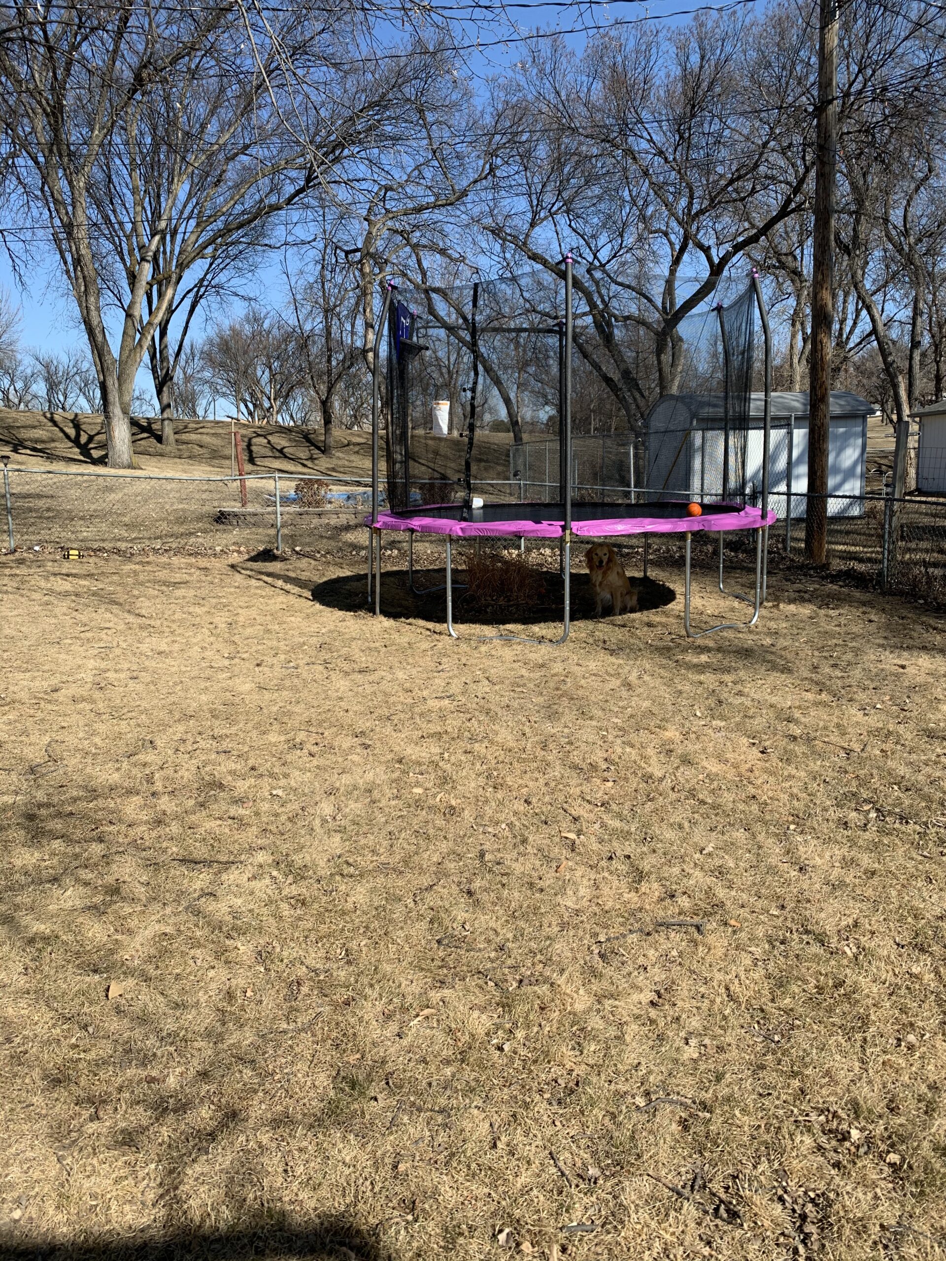 Skywalker Trampoline Outdoor 8 FT, 12 FT, 15 FT Jump N' Dunk Round Outdoor Trampoline with Net, Trampoline Mat, and Basketball Hoop for Trampoline customer photo 1
