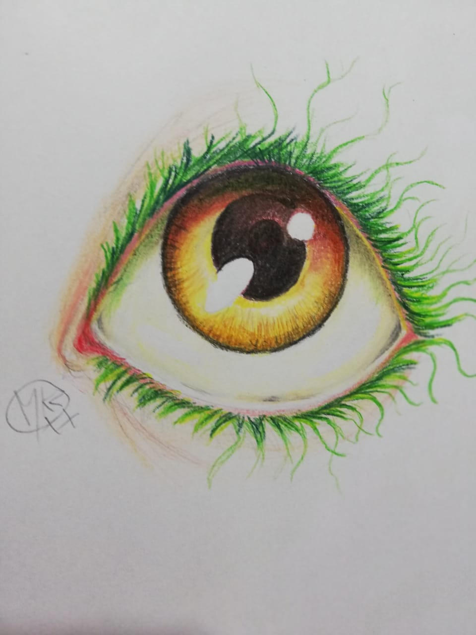Caran D'ache Luminance Colored Pencil Set of 40 (6901.740) customer photo 2