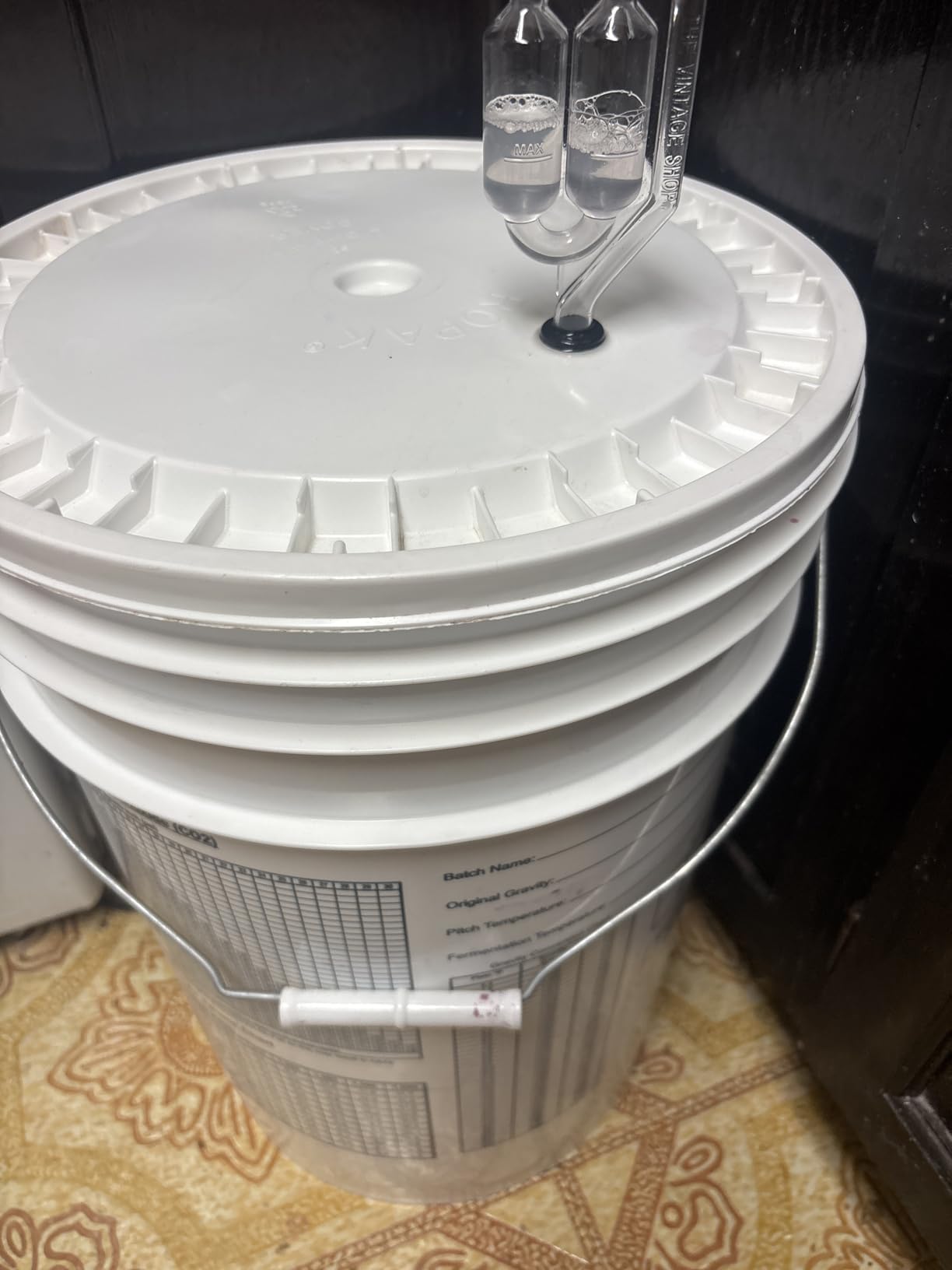 Wild Grapes DIY Wine Making Kits, Cabernet Sauvignon, Makes up to 30x750mL - Premium Ingredients, Ready in 4 Weeks, Includes Wine Base, Yeast, Fining Agents And 30 Labels customer photo 1