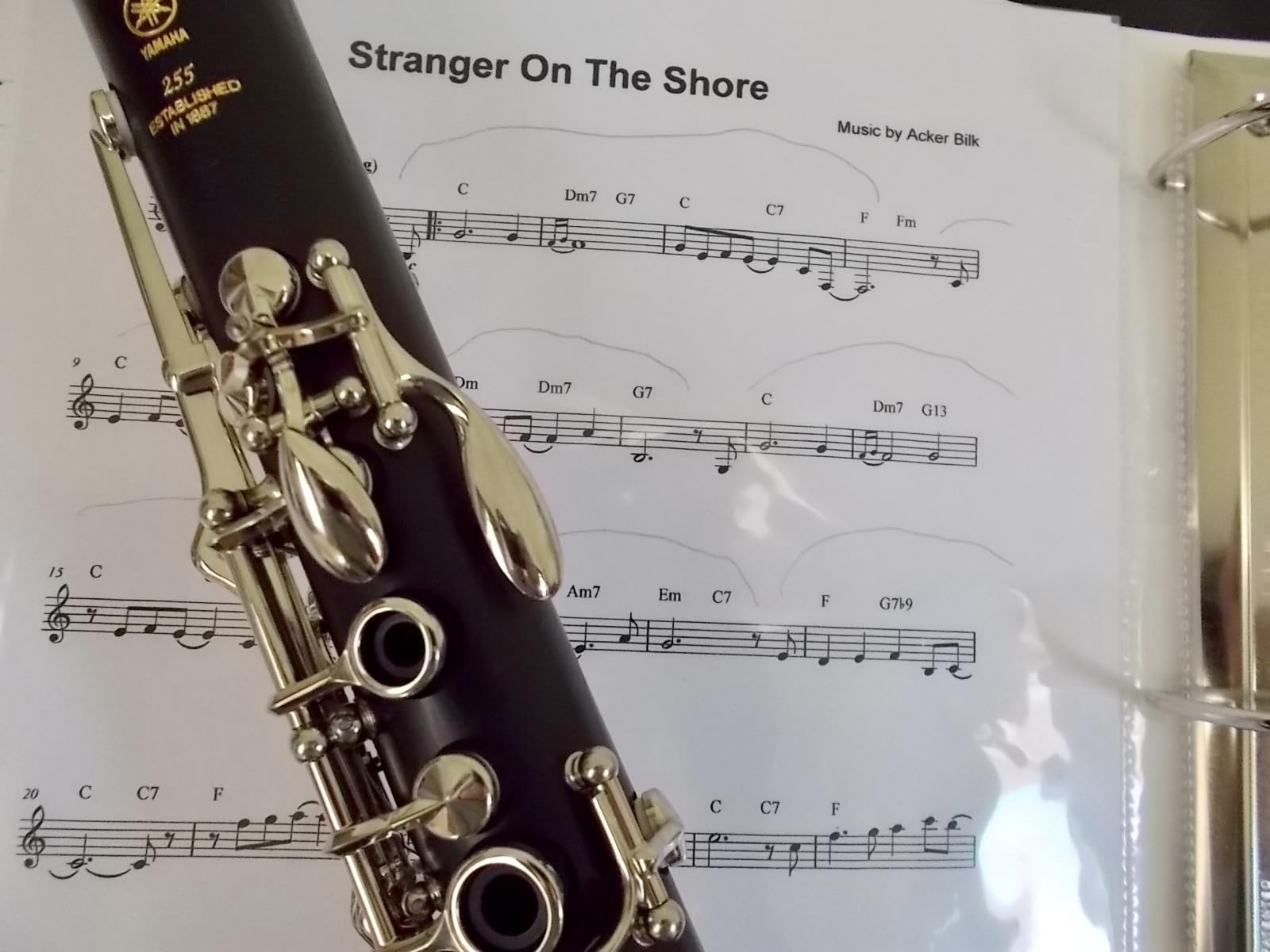 Yamaha YCL-255 Clarinet customer photo 1