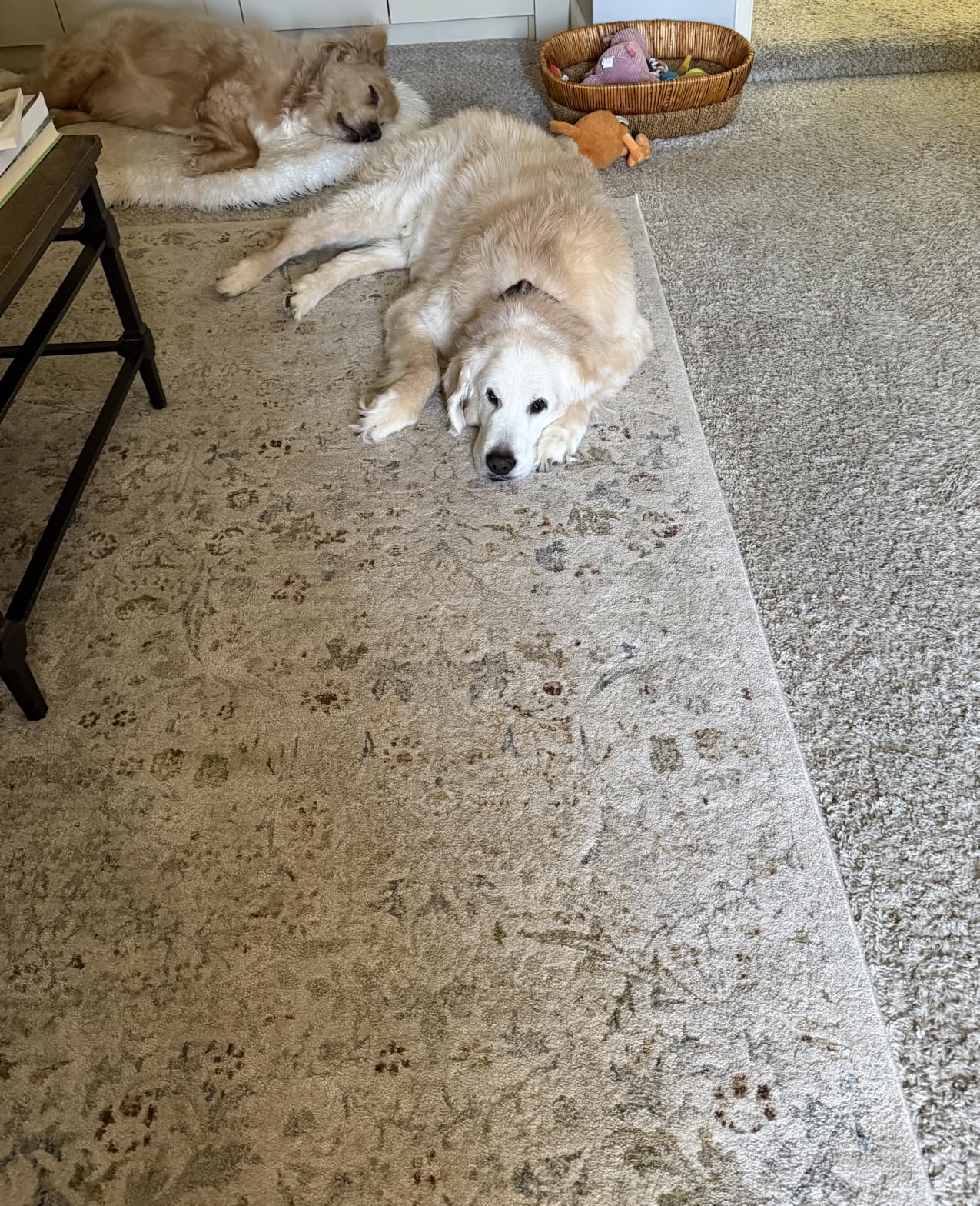 Mohawk Home Felt Rug Pad 8' x 10' - 1/4 Inch Thick Cushion for Area Rugs, Protective Underlay for Hardwood Floors, Comfort and Insulation customer photo 2
