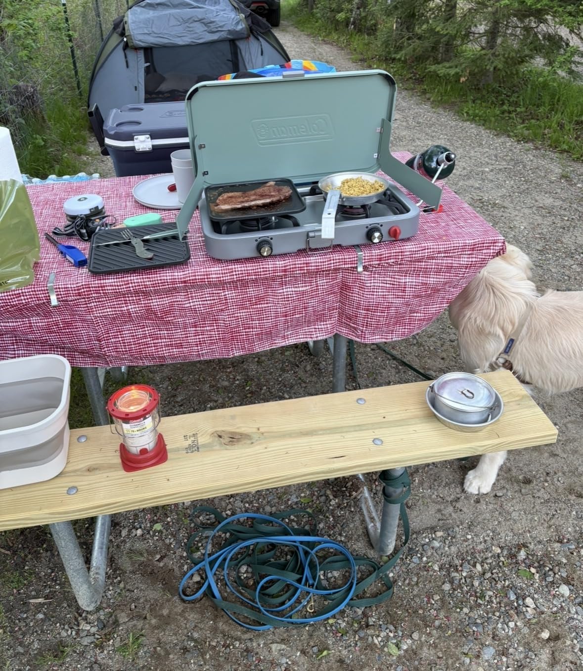 Coleman Cascade 222 2-Burner Camping Stove, Portable Cooktop with 22,000 BTUs, Matchless Lighting, & Dual Wind Guards, Great for Outdoor Cooking, Camping, Tailgating, Grilling, BBQs, & More customer photo 2