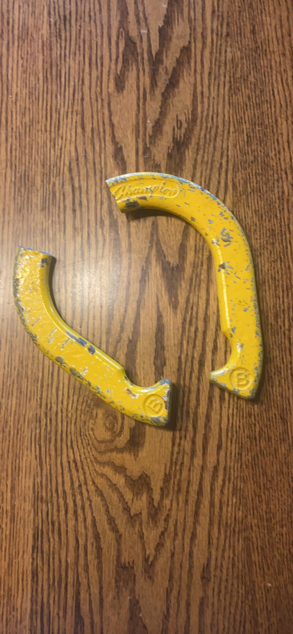Champion Sports Horseshoe Set: Traditional Outdoor Lawn Game includes Four Professional Solid Steel Horseshoes with Solid Steel Stakes & Carrying Storage Case customer photo 2