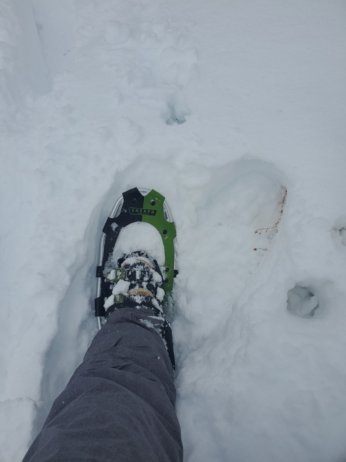 Yukon Charlie's Sherpa Snowshoe - Snowshoes for Men & Women, Multiple Sizes & Models customer photo 1