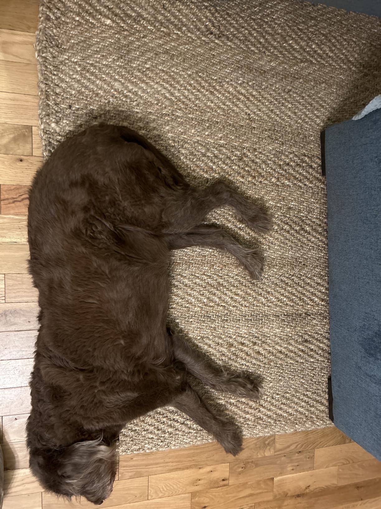 JONATHAN Y Espina Hand Woven Herringbone Chunky Jute Natural Indoor Area Rug, 5x8, Bohemian, Cottage, Easy-Cleaning for Living Room, Bedroom, Kitchen, Pet Friendly, Non-Shedding (NFR101A-5) customer photo 1