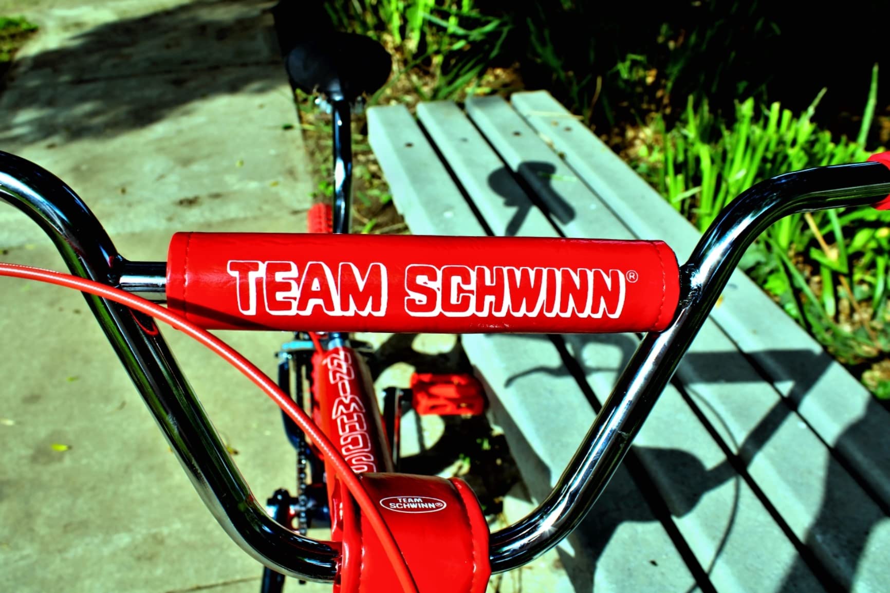 Schwinn Sting Pro and Predator Team BMX Bike, Retro Design, Single-Speed, Hi-Ten Steel Frame, 20 or 24-Inch Wheels, Multiple Colors customer photo 2