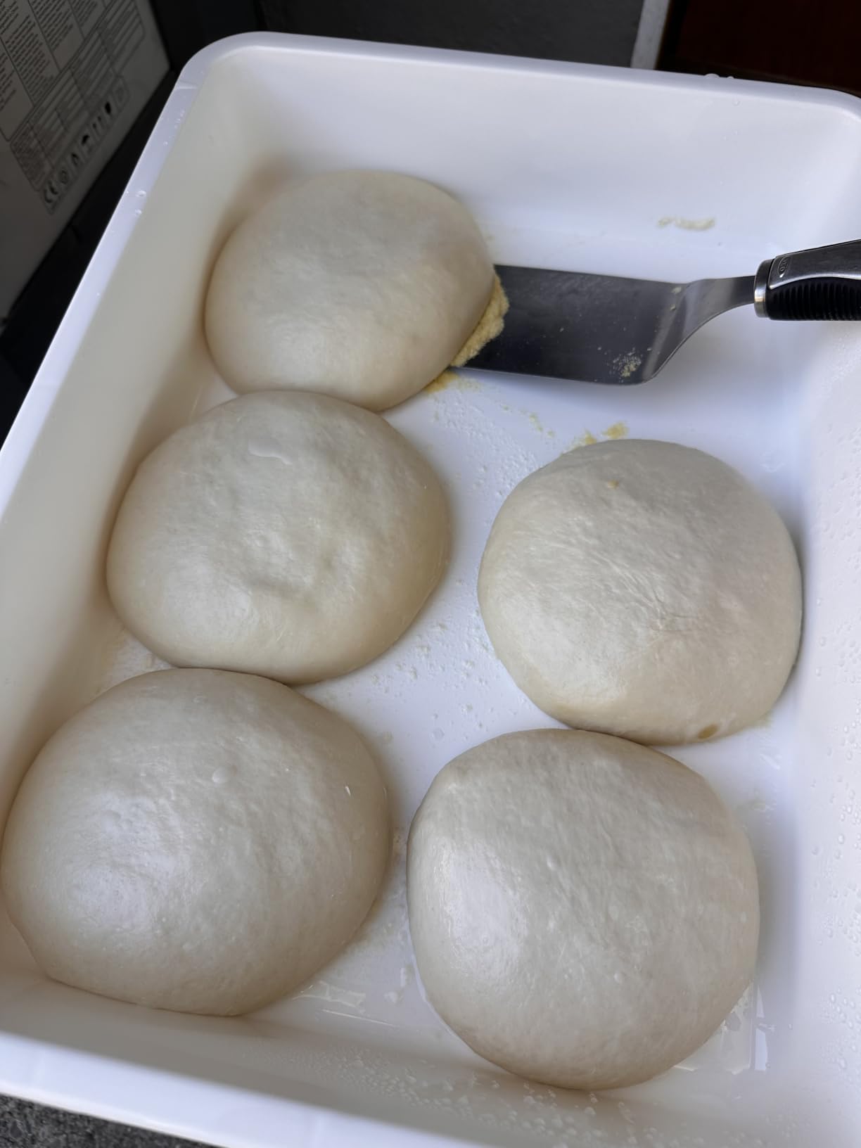 Pizza Dough Proofing Box, Commercial Grade 17.25