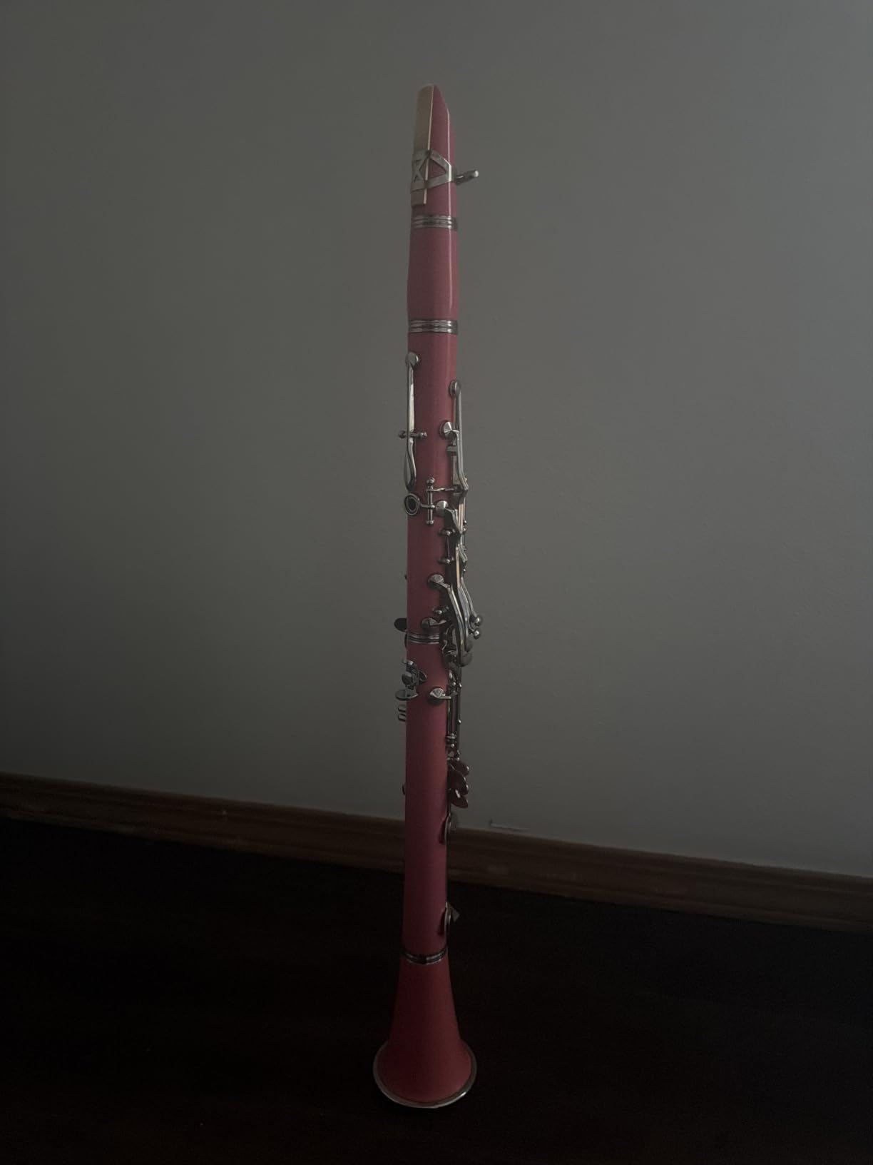 Bb Clarinet For Beginners Students B Flat Clarinet 17 Keys Clarinets with Case Stand Strap 2 Barrels 8 Mouthpiece Cushion White Gloves(Black) customer photo 1