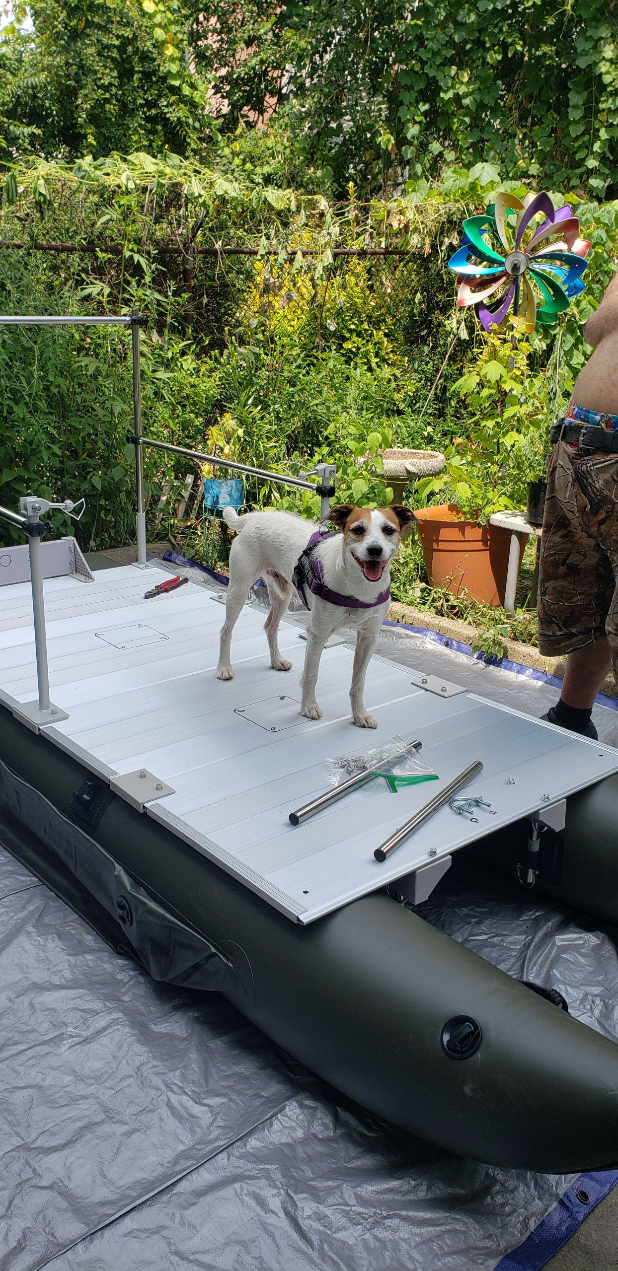 AQUOS 11.5ft Heavy-Duty for Two Series Inflatable Pontoon Boat | Stainless Guard Bar, Folding Swivel Seat, Aluminum Floor, 800lb Capacity, EVA Anti-Slip, 4 Air Chambers customer photo 1