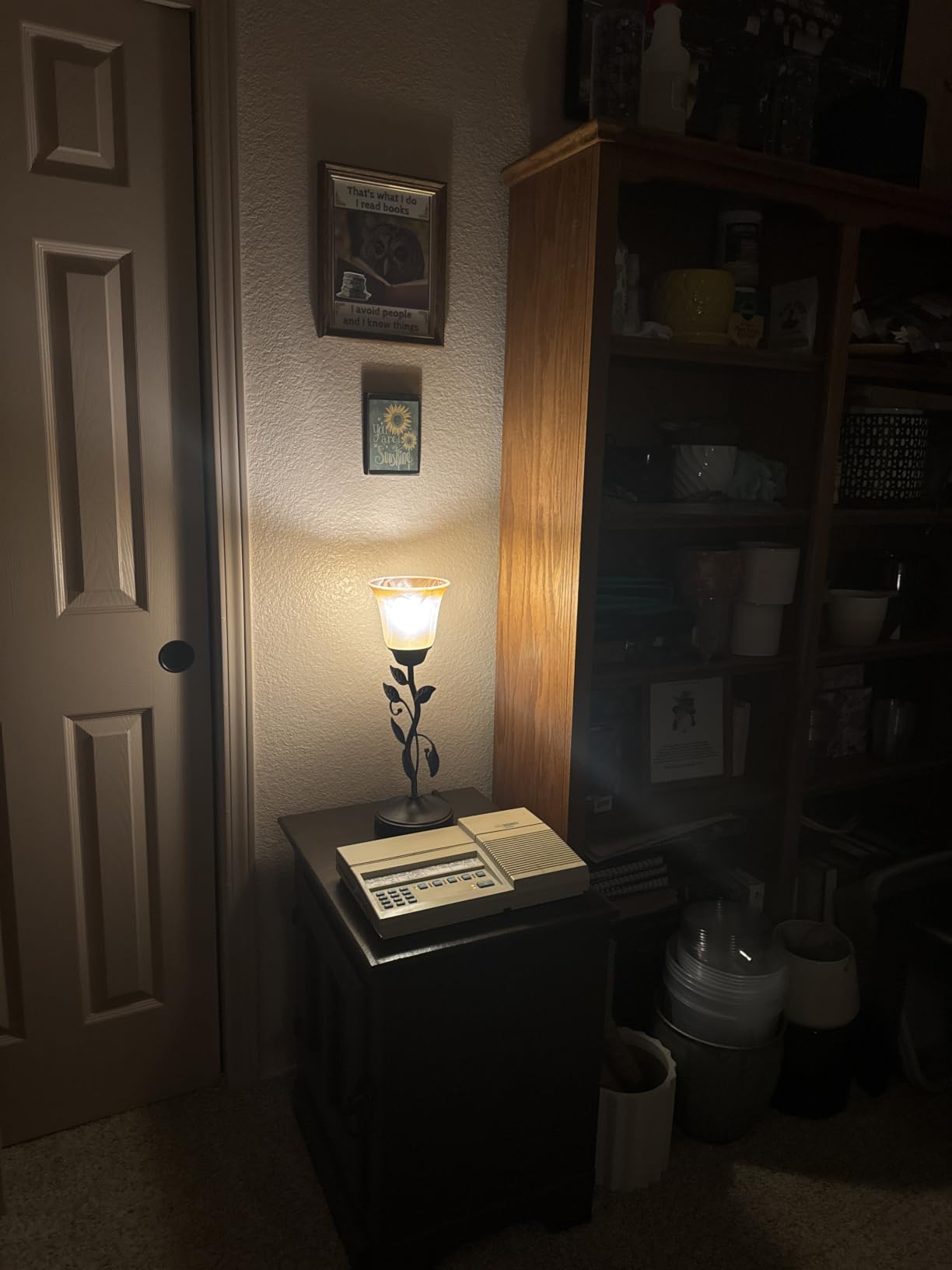 Touch Control Table Lamp with 2 USB Charging Ports, 3-Way Dimmable Bedside Nightstand Lamps, Amber Glass Shade Vintage Rural Leaf Lamp for Living Room, Bedroom, Dresser, LED Bulb Included (Bronze) customer photo 1