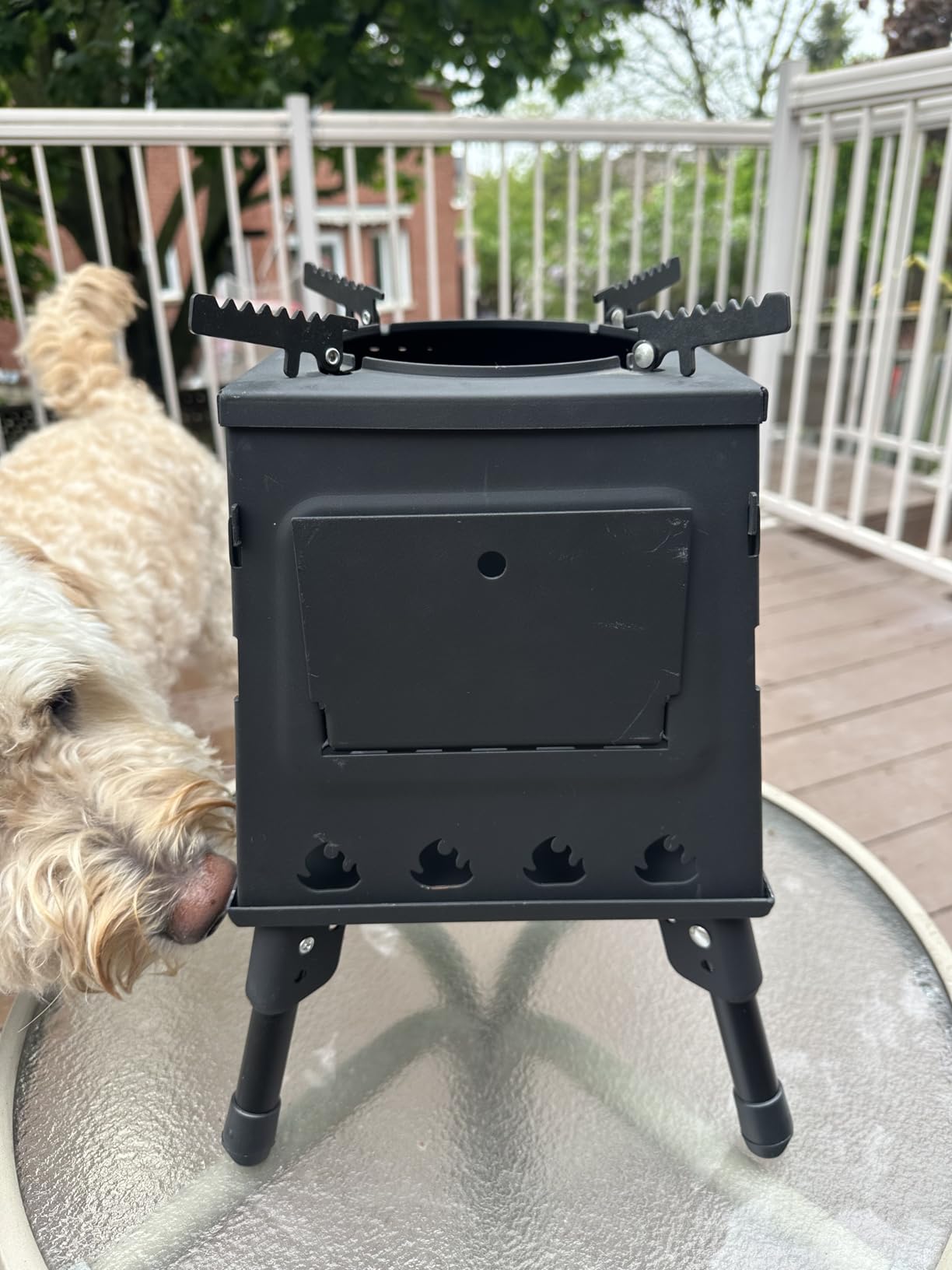 Wood Burning Camp Stove, Portable Cast Iron Camping Wood Stove, Black Woodstove with Carrying Case for Backpacking Outdoor Cooking customer photo 1