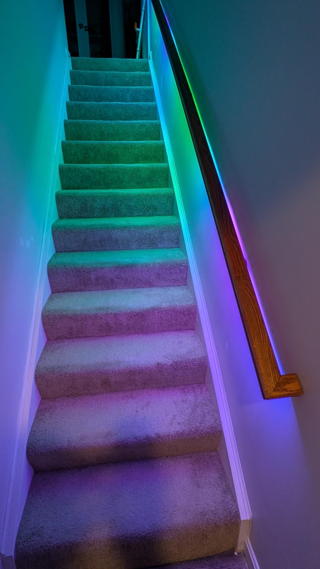 Kasa Smart LED Light Strip, 50 Color Zones RGBIC, 16.4ft Wi-Fi LED Strip Works w/ Alexa, Google Home & SmartThings, High Brightness, 16M Colors, PU Coating, Trimmable, 2 Yr Warranty customer photo 2