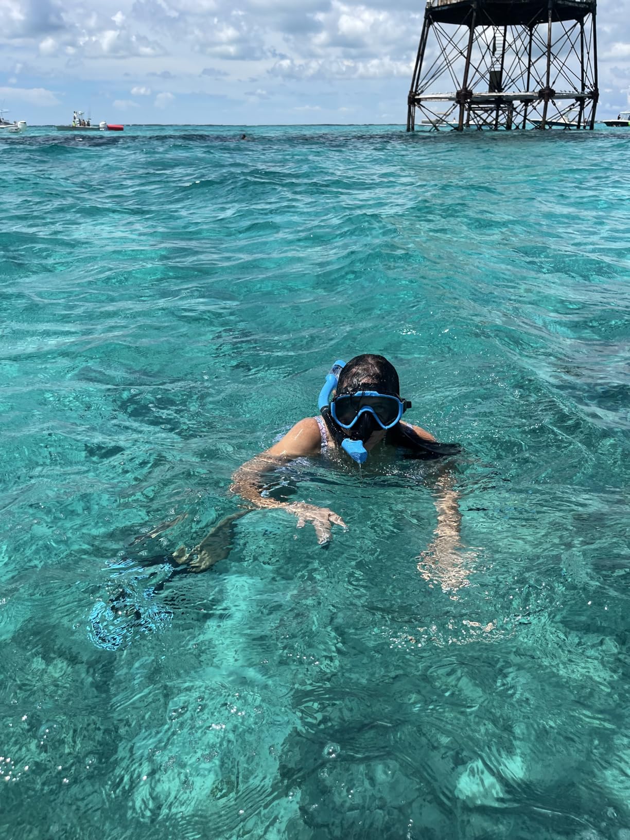 Ubekezele Snorkeling Gear for Adults Men Women, 4 in 1 Snorkel Set with Panoramic View Diving Mask Anti-Fog Anti-Leak, Dry Top Snorkel, Fins and Travel Bag for Swimming, Snorkeling and Travel Diving customer photo 2