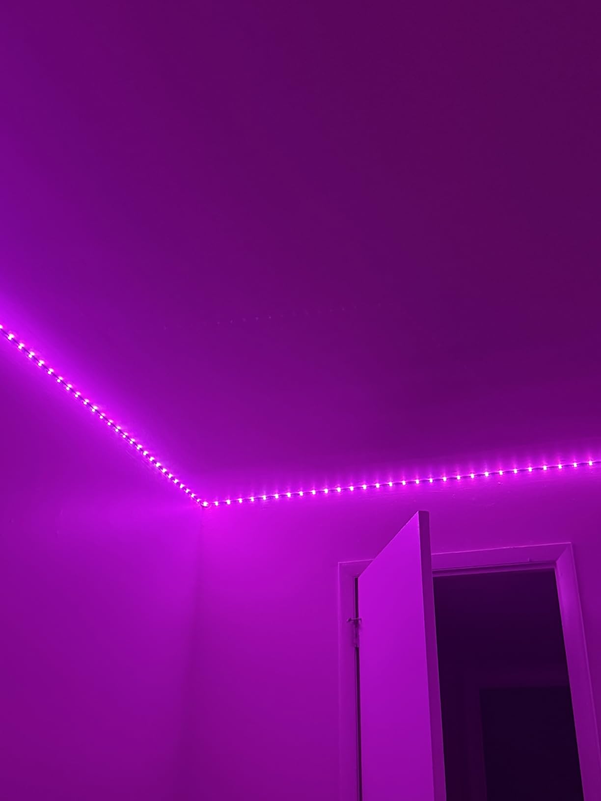 Govee 100ft RGBIC LED Strip Lights, Smart LED Lights Work with Alexa and Google Assistant, LED Lights for Bedroom WiFi App Control Segmented DIY Multiple Colors, Color Changing Light, (2 x 50ft) customer photo 2