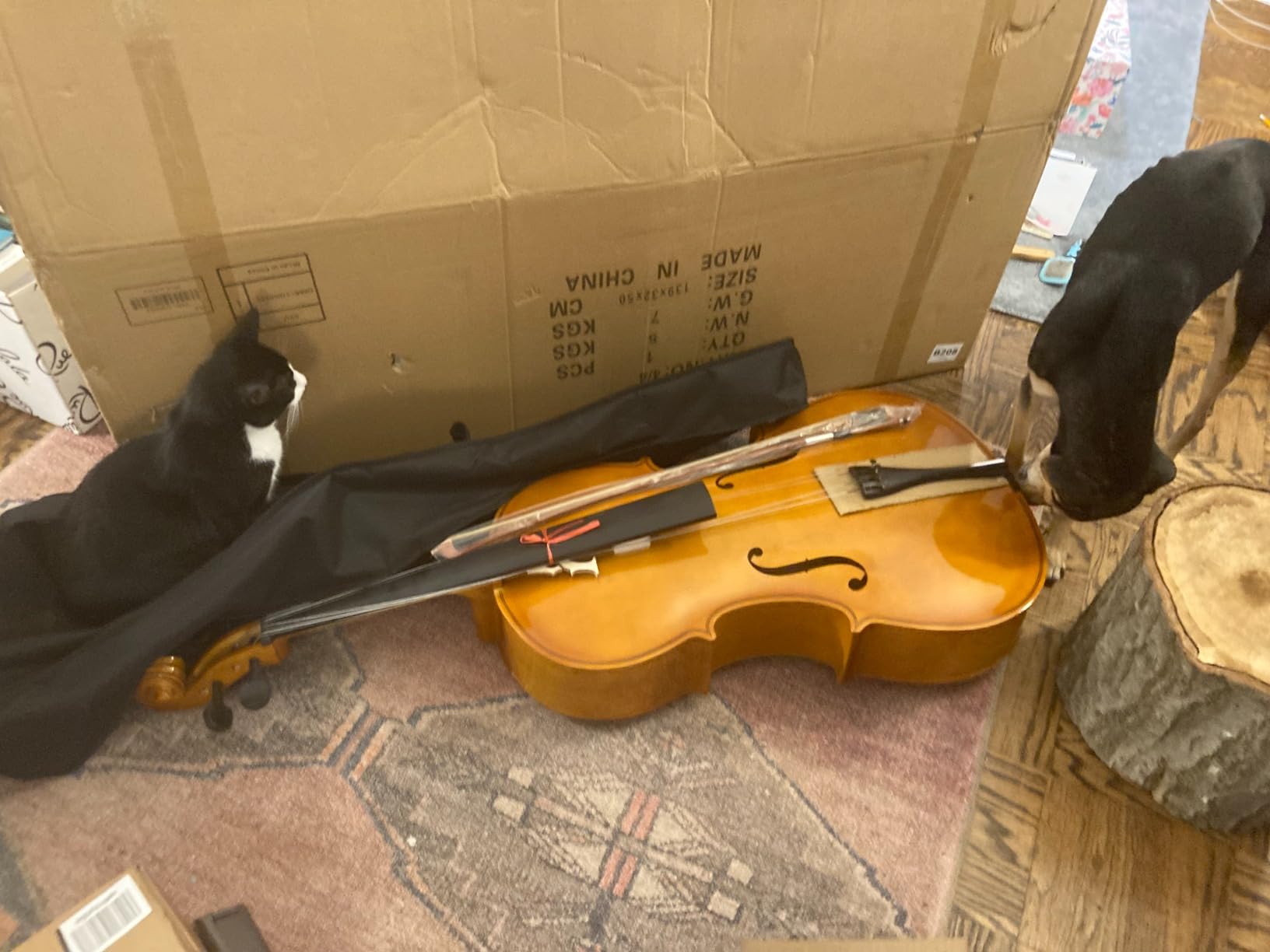 Ktaxon Full-Size Cello, Beginner Cello 4/4, Acoustic Cello Kit | Full Equipment with Portable Bag, Bow, Bridge and Rosin for Beginners | Adults & Kids String Musical (Black) customer photo 2