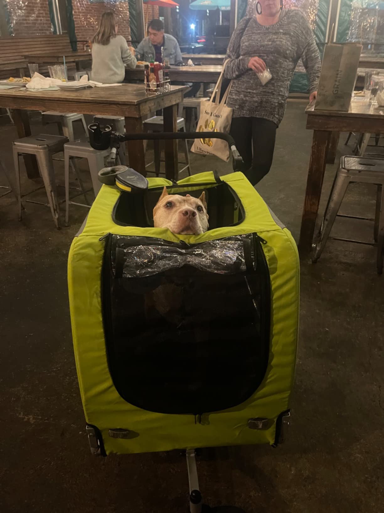DOGGYHUT Premium Large/XL Pet Bike Trailer & Stroller for Large Sized Dog or Multiple Small Dogs, Low Center of Gravity, Parking Brakes, Easy Folding Frame, Bicycle Carrier customer photo 2
