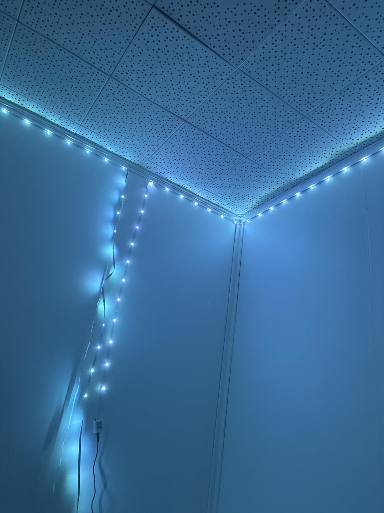 VOLIVO LED Strip Lights for Bedroom 200ft(2 Rolls of 100 ft), Smart Bluetooth RGB Light Strips with App Control & Music Sync, Color Changing LED Lights for Room, Home, Party Decor customer photo 1