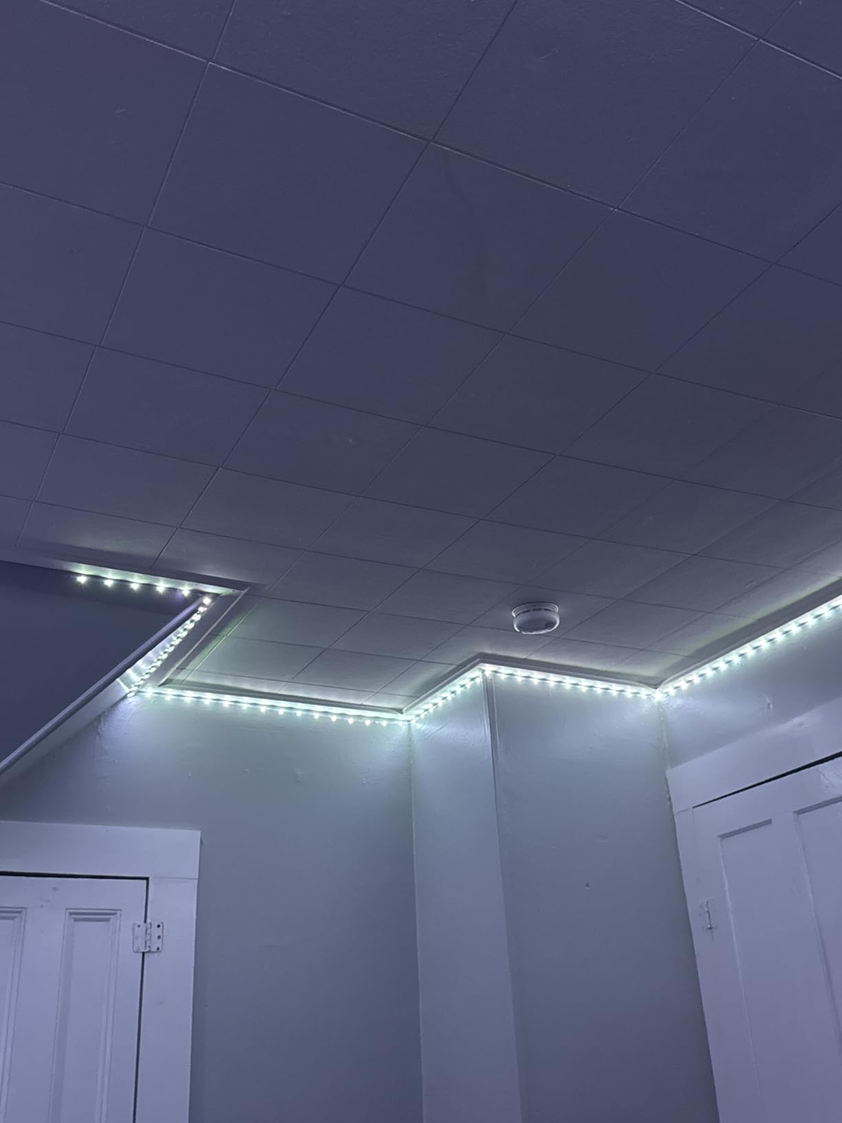 Leeleberd Led Lights for Bedroom 100 ft (2 Rolls of 50ft) Music Sync Color Changing RGB Led Strip Lights with Remote App Control Bluetooth Led Strip, Lights for Room Home Kitchen Party Decor customer photo 2