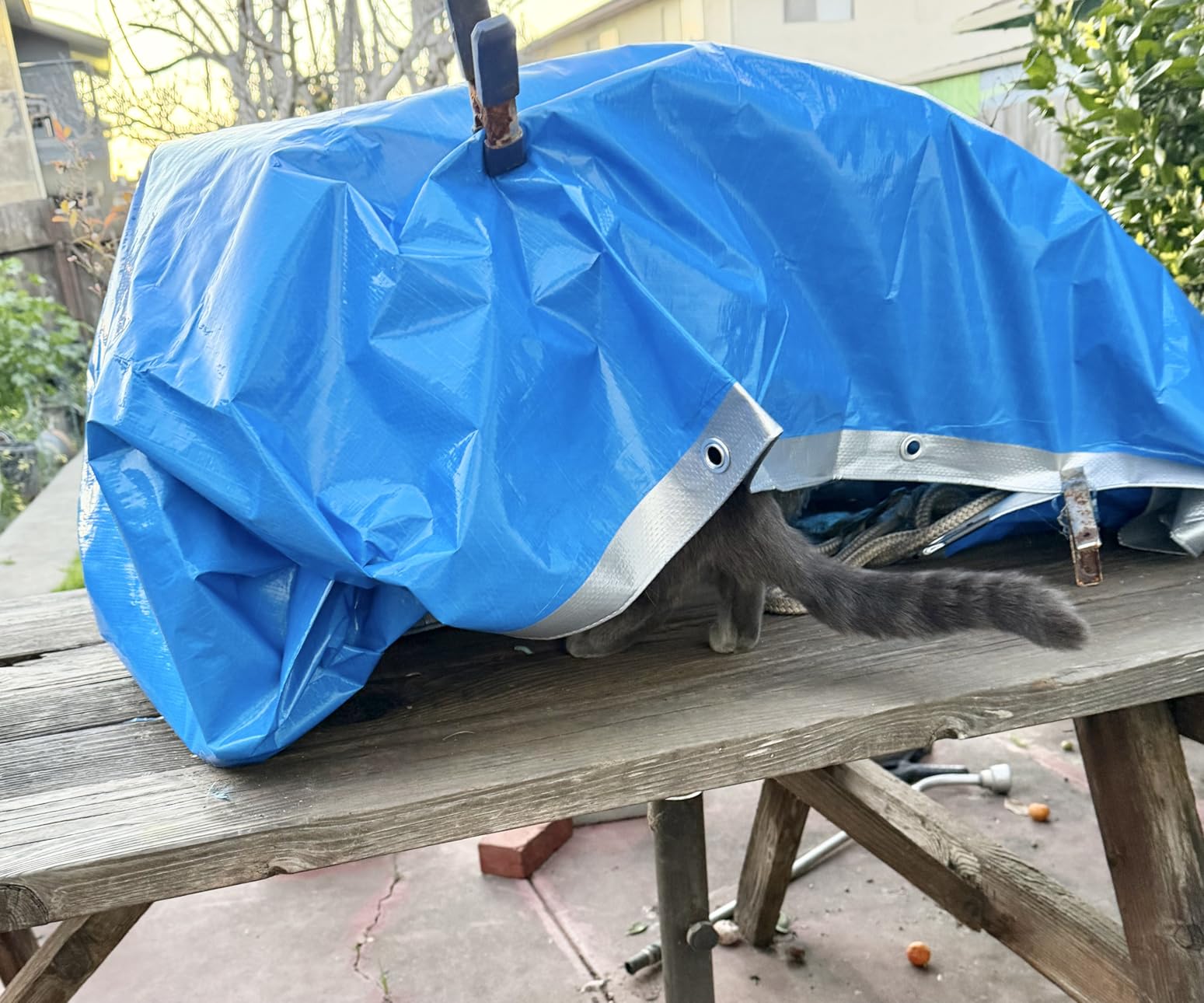 TICONN Heavy Duty Tarp Cover, Extra Thick Tarps Waterproof Tear and Rip Proof UV Resistant Tarpaulin with Reinforced Grommets and Edges (5.5 Mil, 6'x8') customer photo 1
