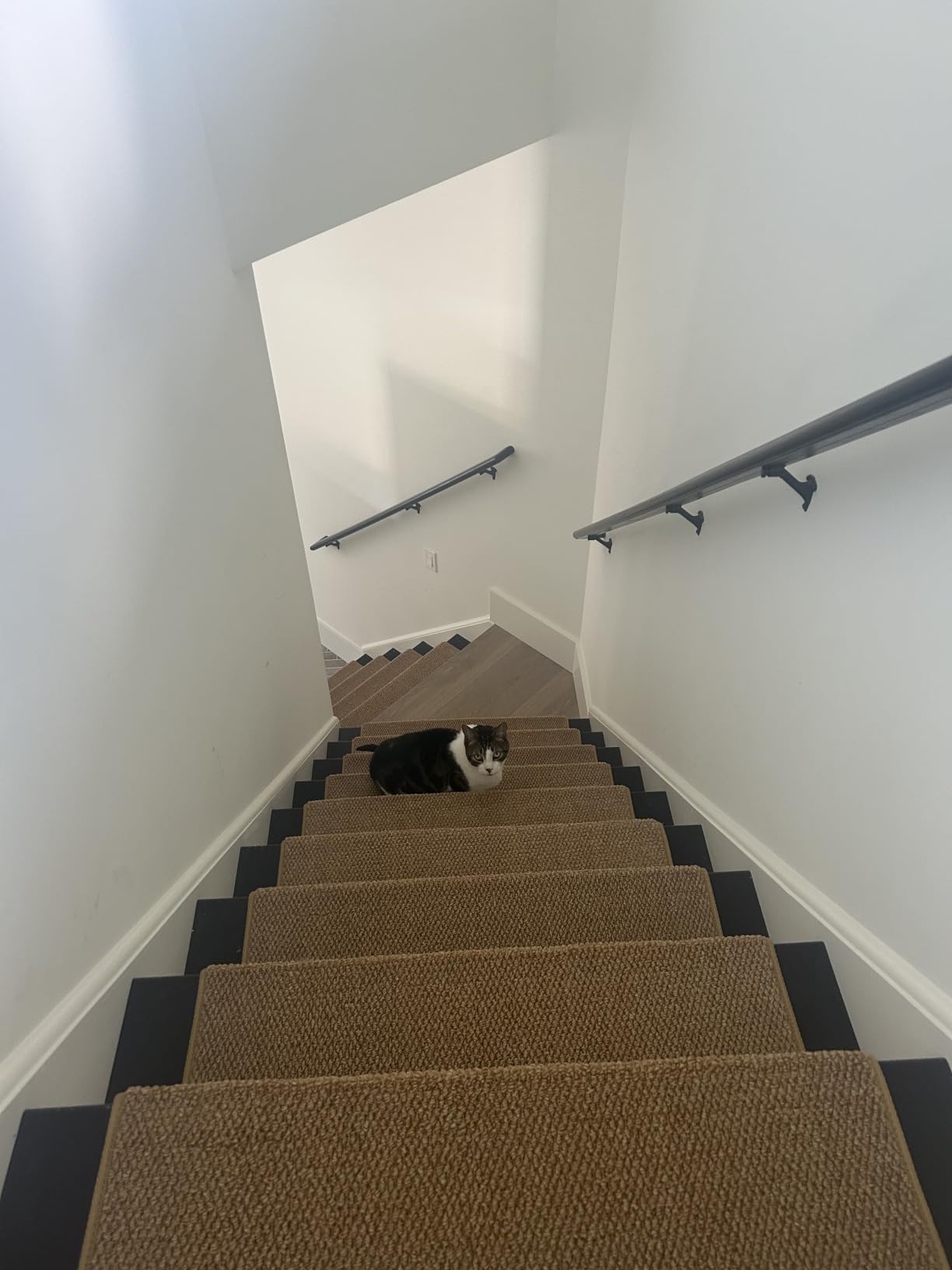 Bullnose Carpet Faux Sisal Stair Treads | Set of 14 | Stair Treads for Wooden Steps Indoor Anti Slip Braided Staircase Protector Pet Friendly Rugs Covers 9.44
