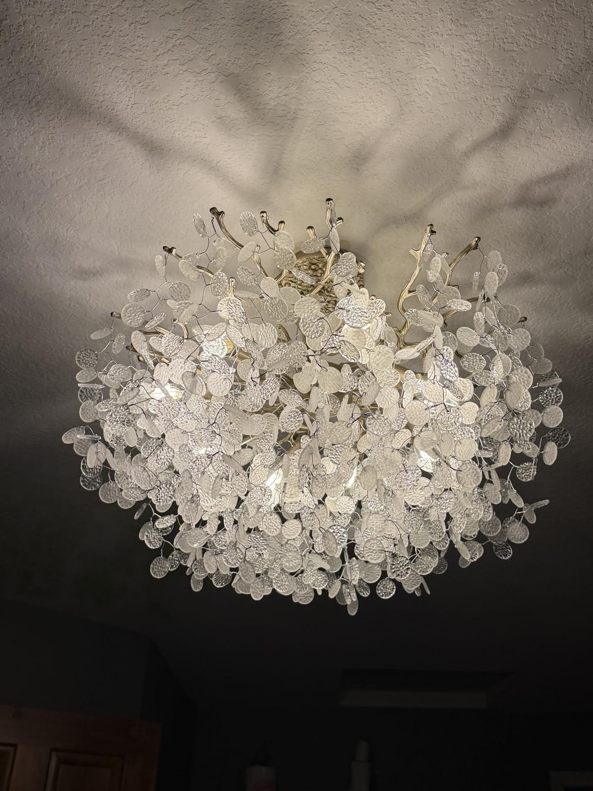 24-Inch Capiz Shell Chandelier, 8-Light Gold Coastal Chandelier, Modern Crystal Tree Branch Chandeliers, Boho Light Fixture for Bedroom, Living Room, Foyer, Entryway, Stairwell customer photo 1