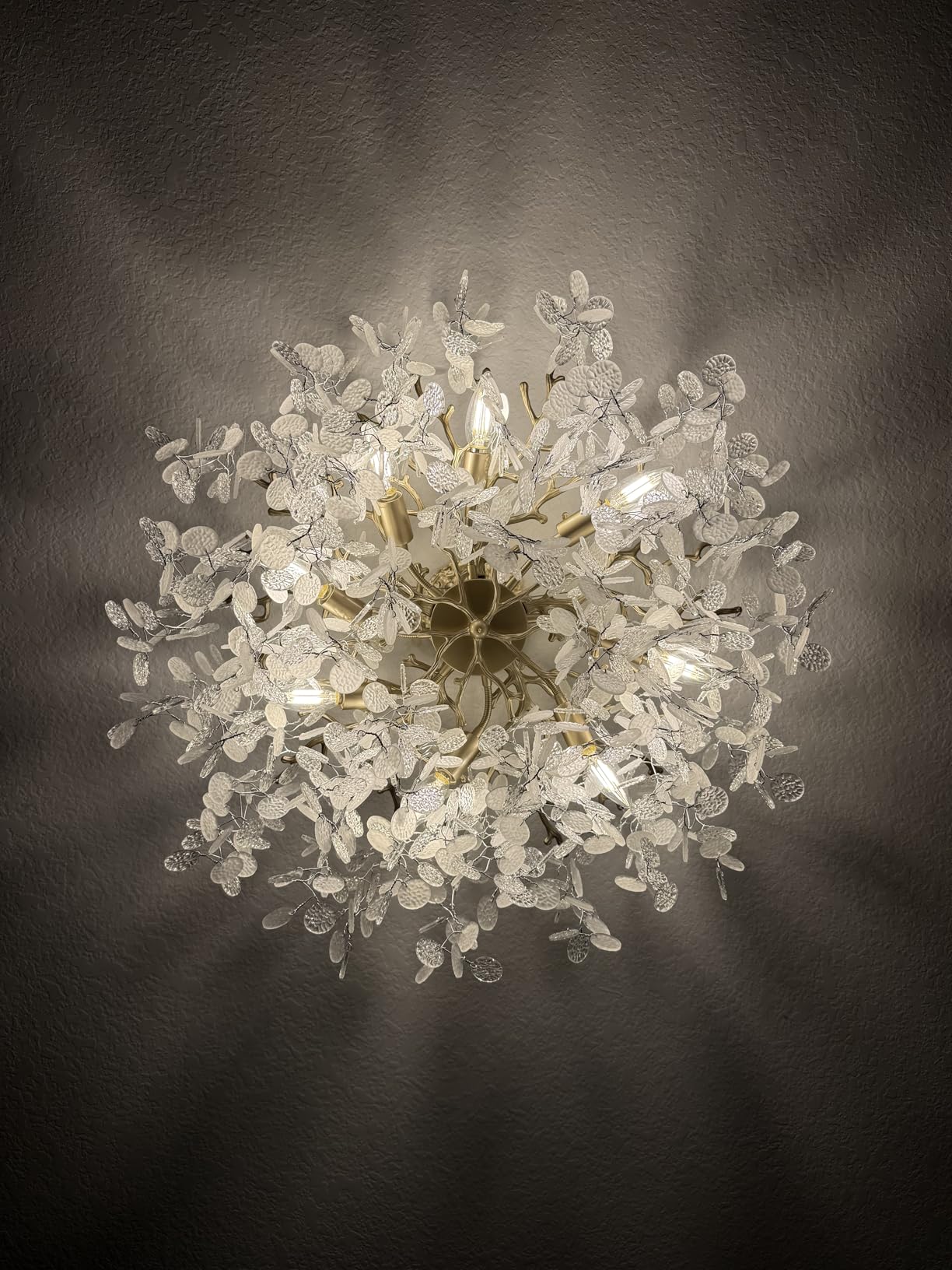24-Inch Capiz Shell Chandelier, 8-Light Gold Coastal Chandelier, Modern Crystal Tree Branch Chandeliers, Boho Light Fixture for Bedroom, Living Room, Foyer, Entryway, Stairwell customer photo 2