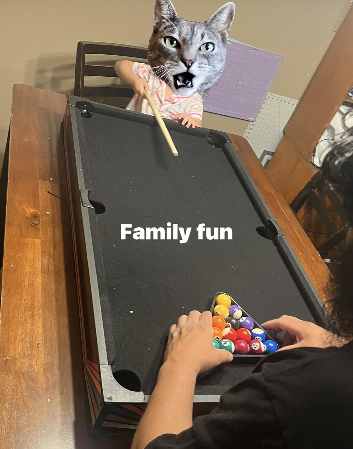Best Choice Products Tabletop Billiard Table, Pool Game Table for Living Room, Game Room w/ 2 Cue Sticks, Ball Set, Storage Bag customer photo 1
