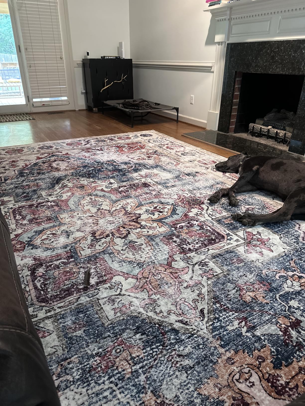 CHAMPLANT Washable Vintage Area Rug 6'x9' Boho Beige Blue Chic Medallion Distressed Design Non-Shedding Easy Care Ideal for High Traffic Areas in Living Room Bedroom Kitchen Office Large Carpet customer photo 1