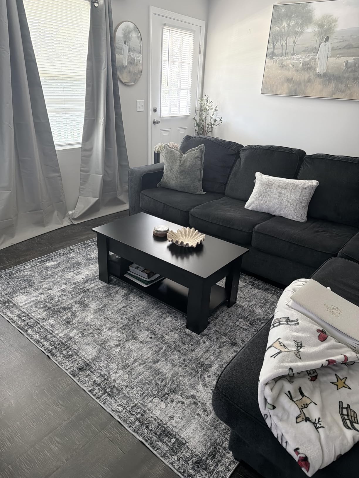 CHAMPLANT Washable Vintage Area Rug 6'x9' Boho Beige Blue Chic Medallion Distressed Design Non-Shedding Easy Care Ideal for High Traffic Areas in Living Room Bedroom Kitchen Office Large Carpet customer photo 2