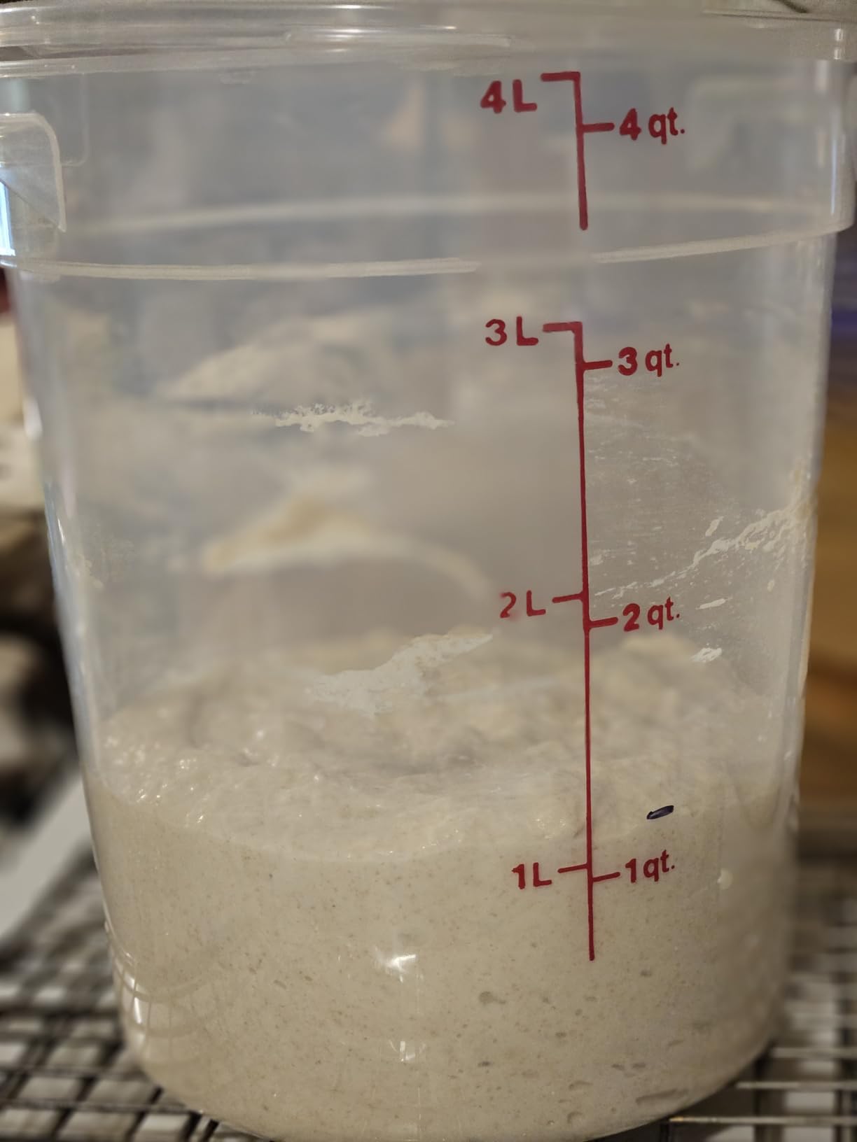 Cambro Food Storage Containers with Lids (BPA-Free) - 4 Quart - Food Grade Buckets with Lids (2 Pack) - For Dough Proofing and Brining (Translucent) customer photo 1