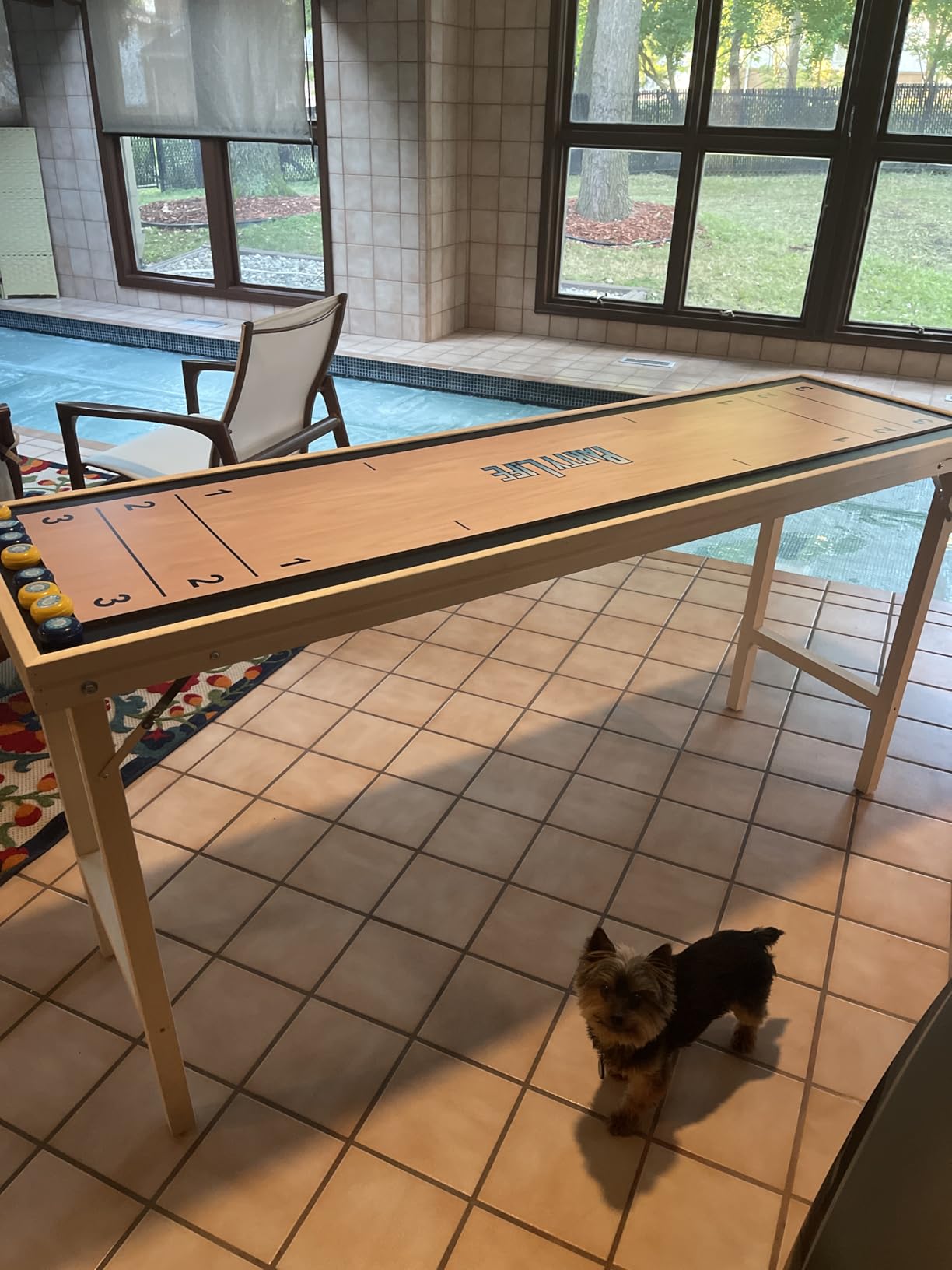 6-Foot Premium Shuffleboard Table w/Folding Legs, Pucks, and Optional LED Lights - Awesome Graphics - Choose Your Model customer photo 1
