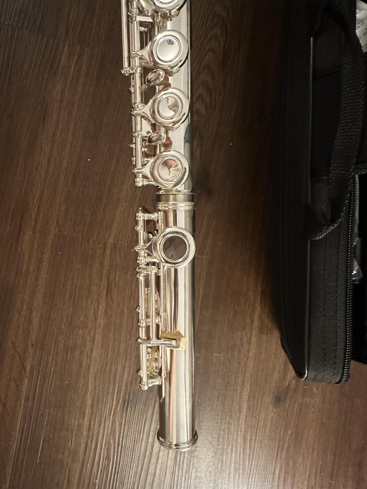 Silver Plated Closed Hole Flute, 16 Keys C Flute Perfect for Beginner School Band Students Advanced Player with Carrying Case, Stand, Gloves, Cleaning Kit, Tuning Rod and More customer photo 1