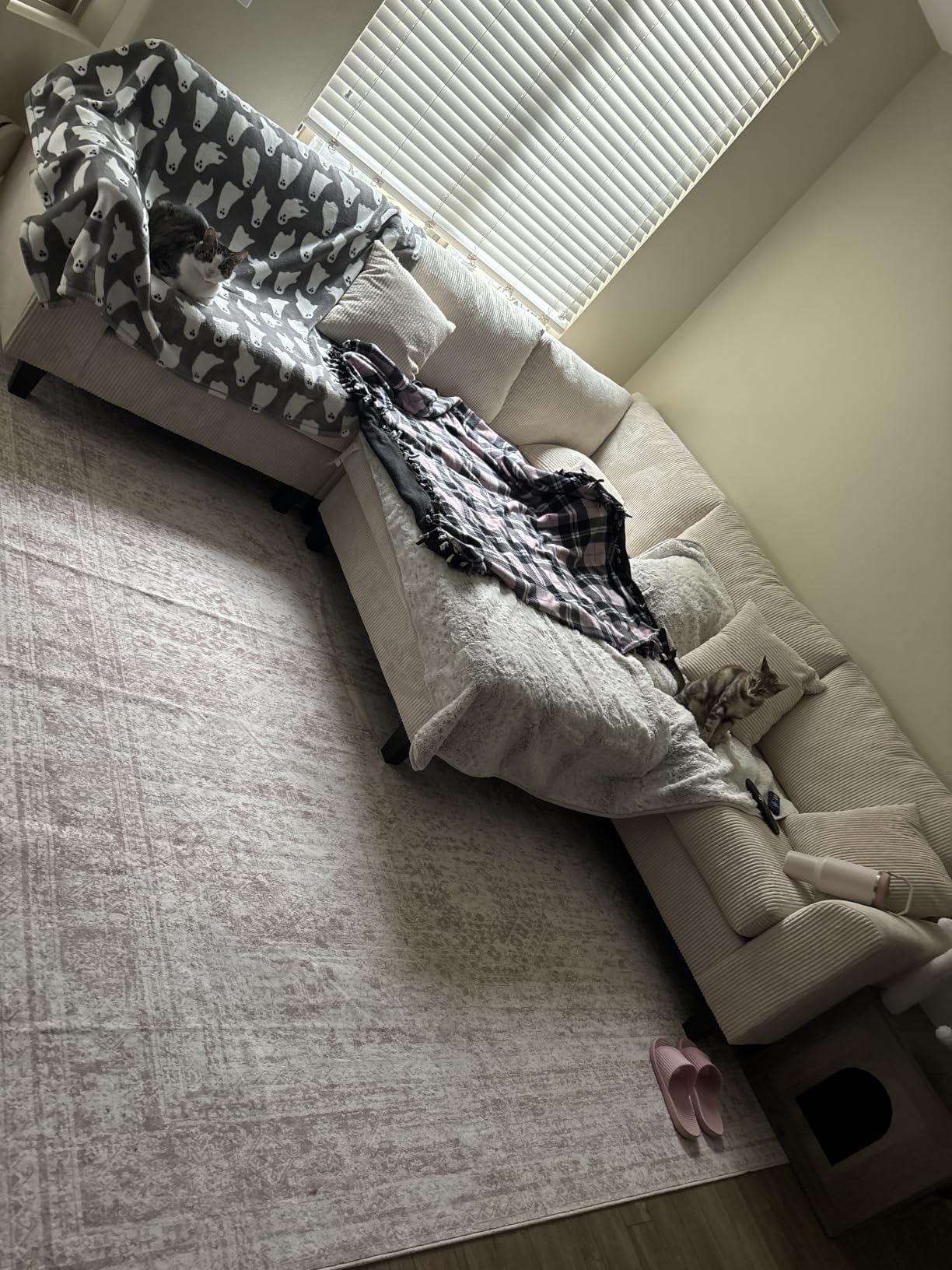Soalmost 9x12 Area Rugs for Living Room, Non Slip Machine Washable Vintage Rugs, Low Pile Lightweight Large Rug for Bedroom, Dining Room, Home Office Beige customer photo 1