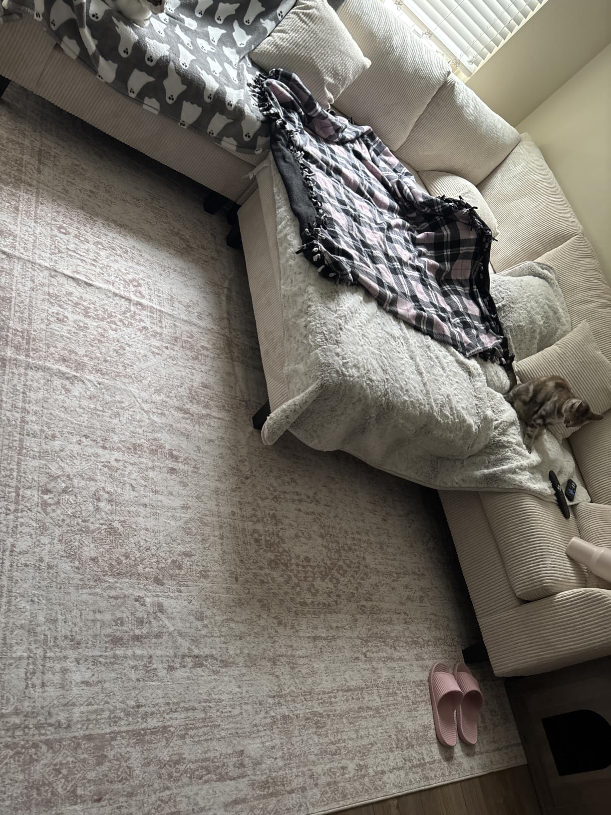 Soalmost 9x12 Area Rugs for Living Room, Non Slip Machine Washable Vintage Rugs, Low Pile Lightweight Large Rug for Bedroom, Dining Room, Home Office Beige customer photo 2