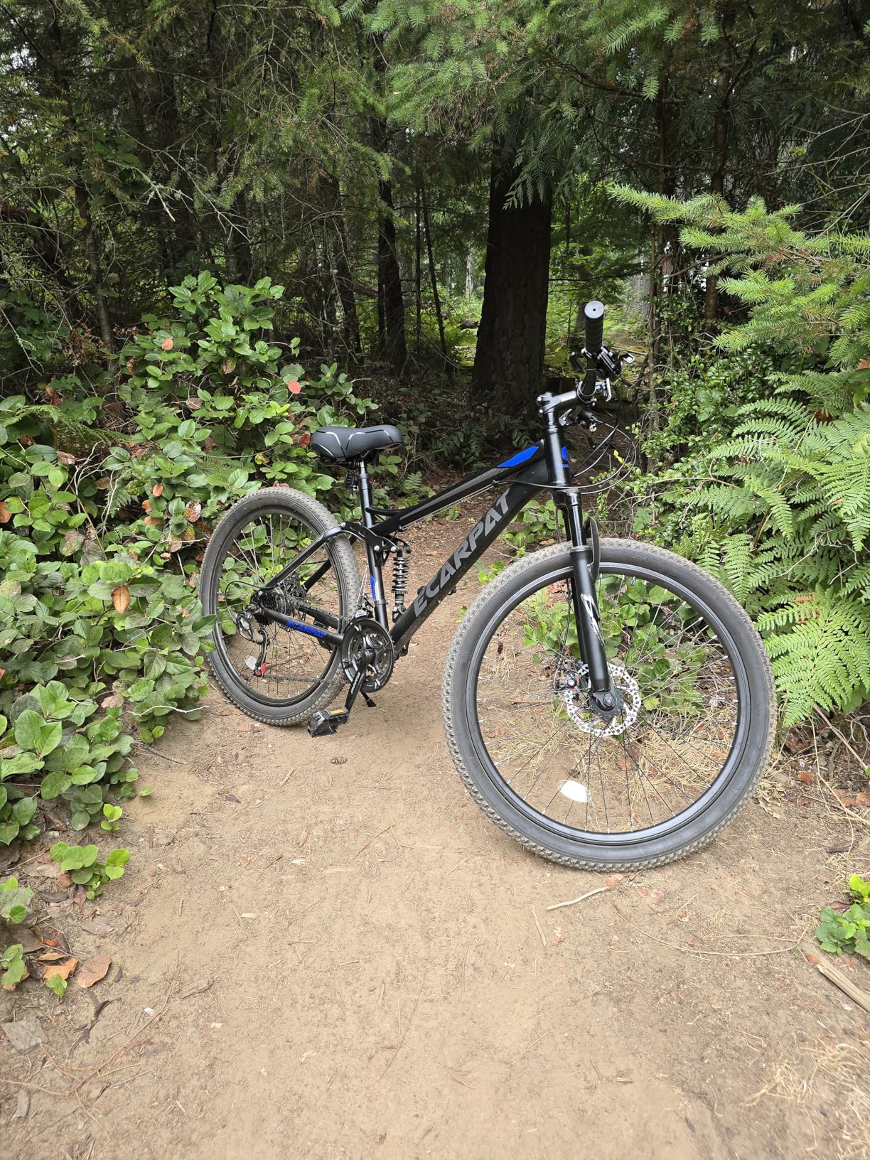 Ecarpat Mountain Bike 26 Inch, Dual Full Suspension, 21 Speeds customer photo 1