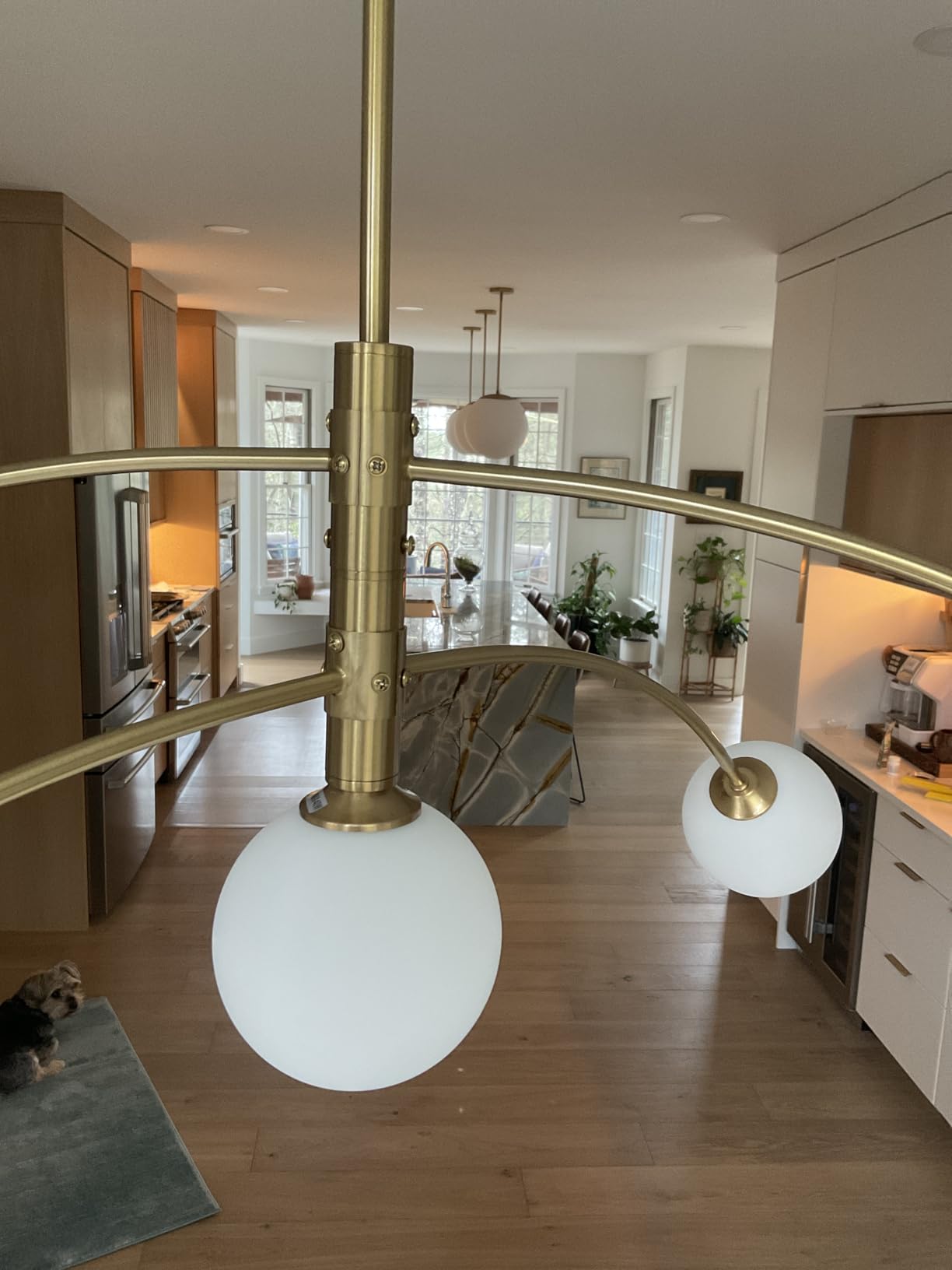 Gold Modern Chandelier 5-Light Glass Globe Ceiling Light Fixtures Mid Century Modern Sputnik Chandelier for Dining Room Kitchen Island Bedroom Living Room 41.3IN Diameter customer photo 1