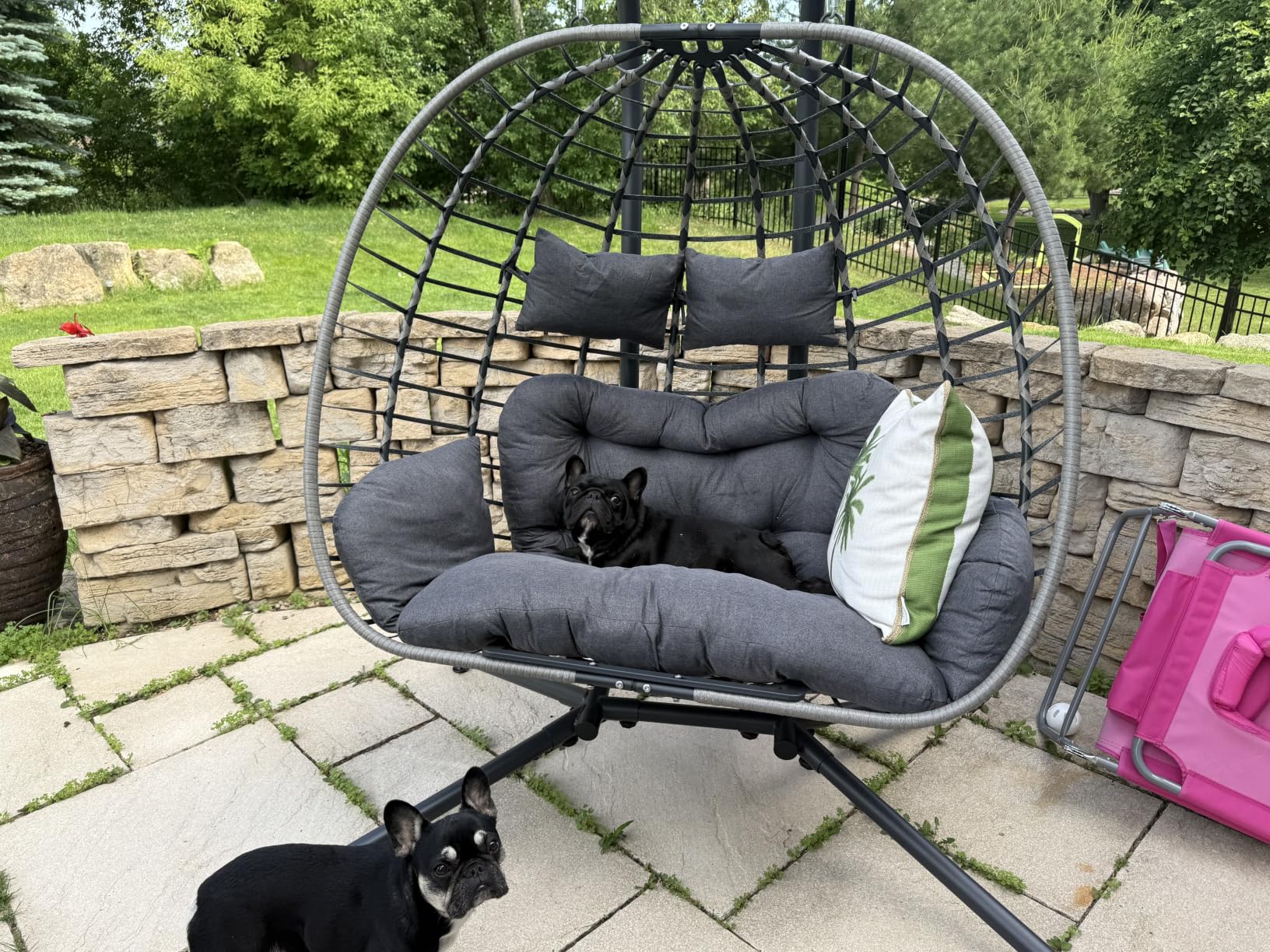 SWITTE Double Egg Swing Chair with Stand, Outdoor Patio 2 Person Hanging Wicker Hammock Chairs with Cushion for Indoor Bedroom, Lawn, Garden-Dark Grey customer photo 1