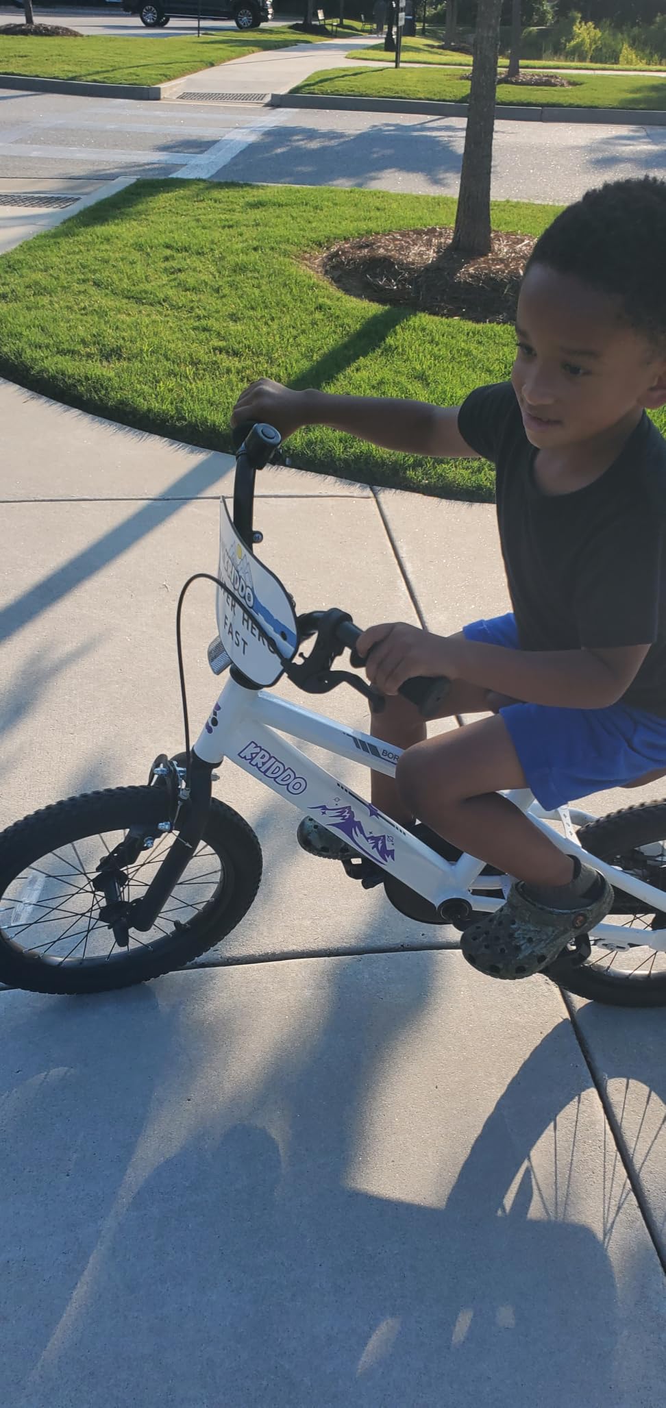 KRIDDO 14-16 Inch Kids Bike for Ages 3-8, Boys and Girls Bicycle with Removable Training Wheels, Bicycle for Kids with Hand Brake & Coaster Brake, Adjustable Height, DIY Name Plate customer photo 1