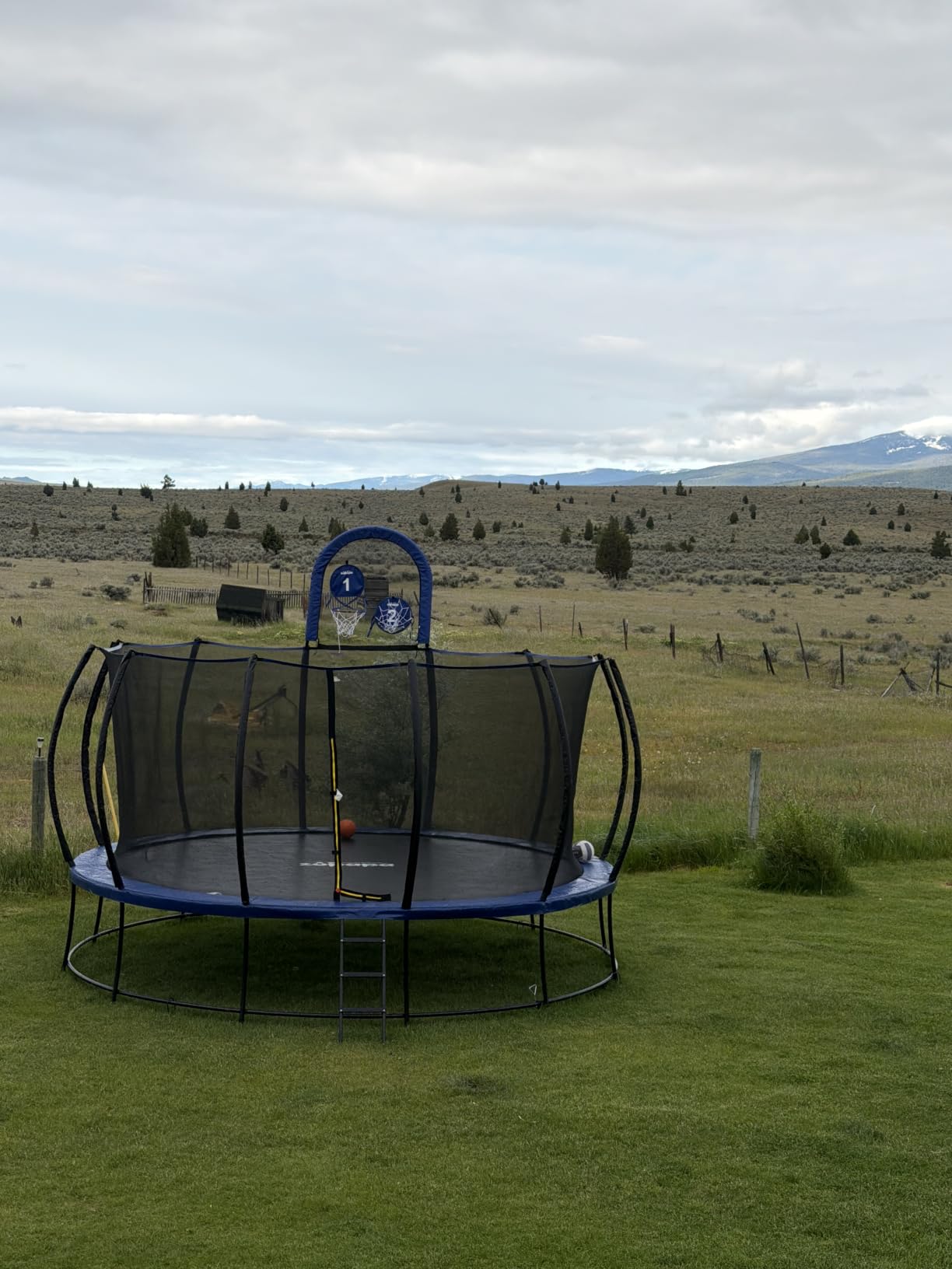 Zupapa 1800LBS Capacity No-Gap Design 16 15 14 12FT Trampoline with Safety Enclosure Net and Non-Slip Ladder 10-Year Quality Assurance Perfect for Kids Family Outdoor Backyard Fun customer photo 1