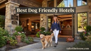 Best Dog Friendly Hotels
