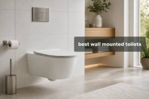 best wall mounted toilets